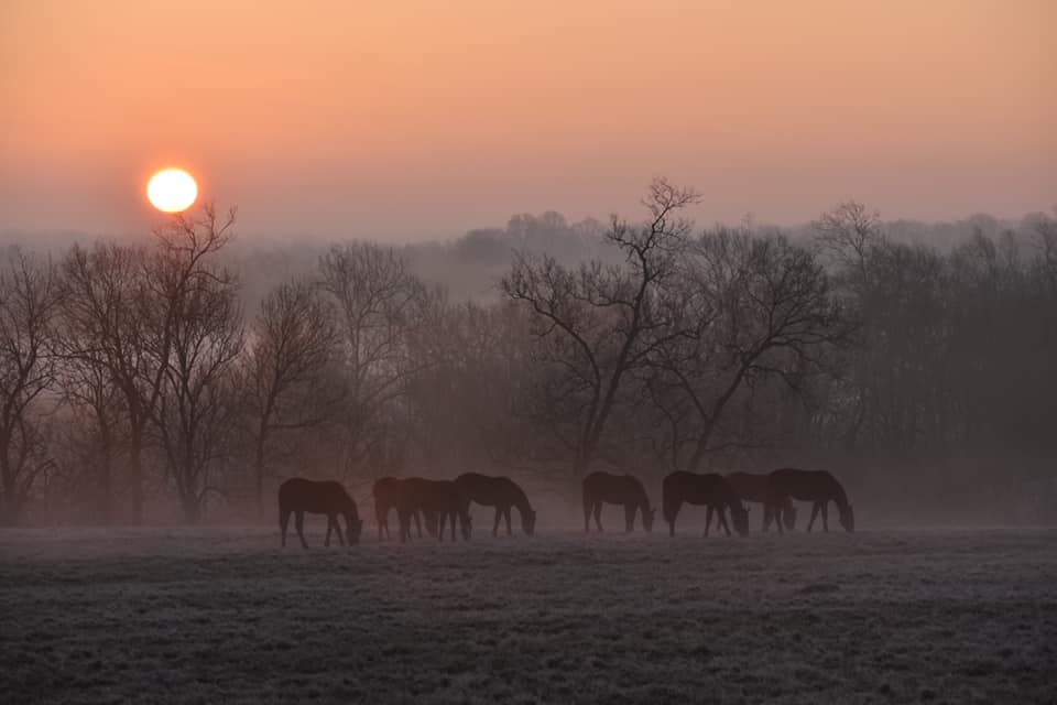 “Kentucky Winter (II)” by Antonio Chavez Meza