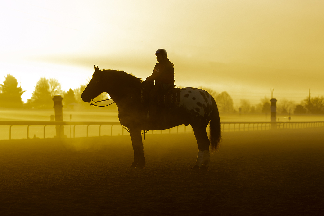 “King of Keeneland” by Casey Laughter