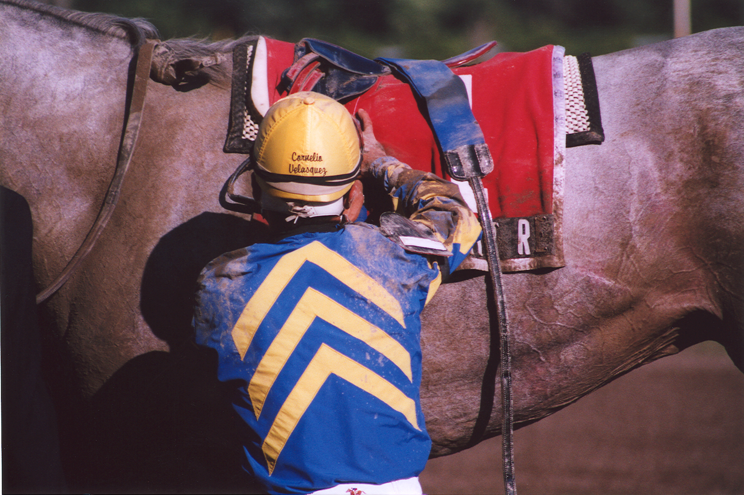 "Dismount" (August 21, 2005 - Saratoga Race Course), Dennis Hogan