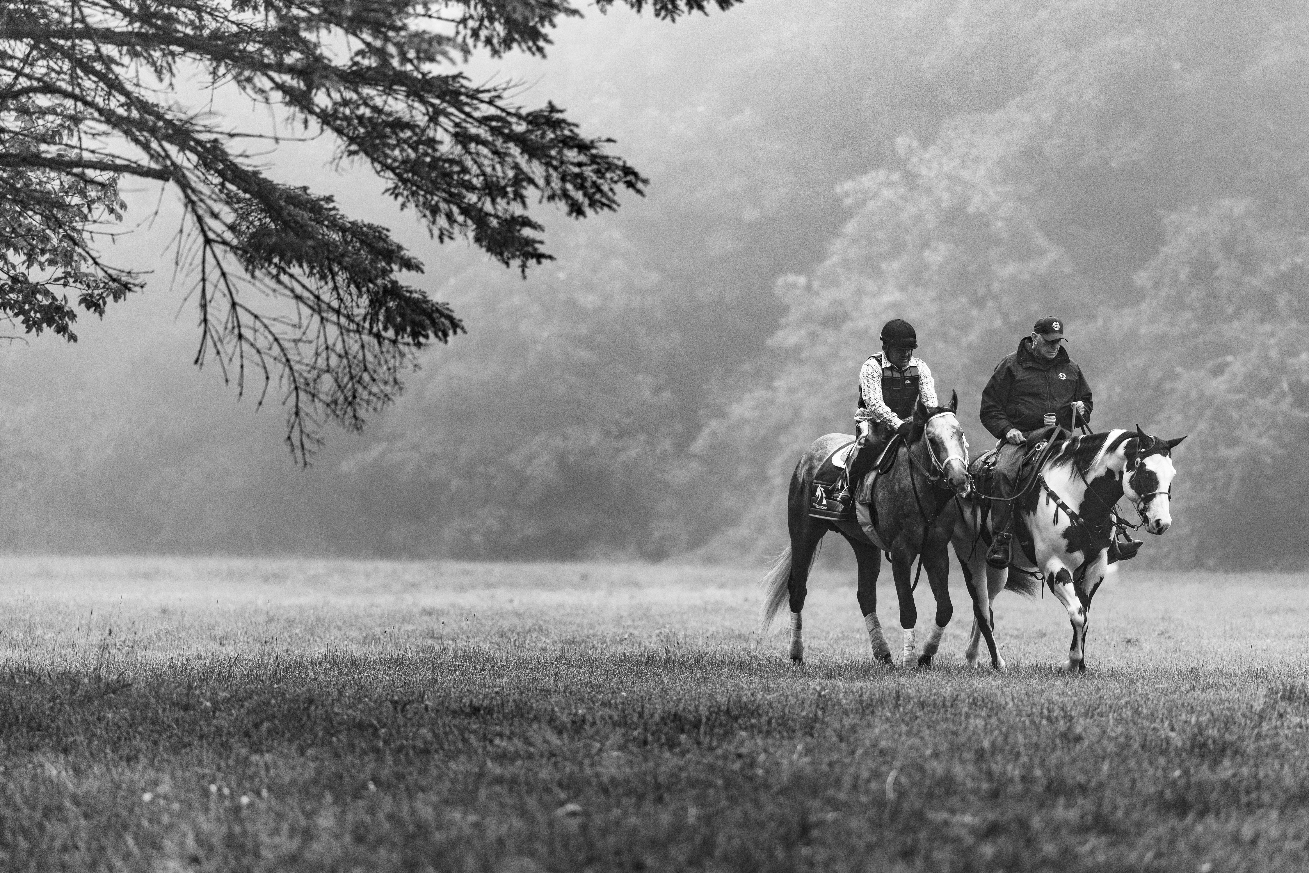 "Seize the Grey in Grayscale" by Samantha Decker