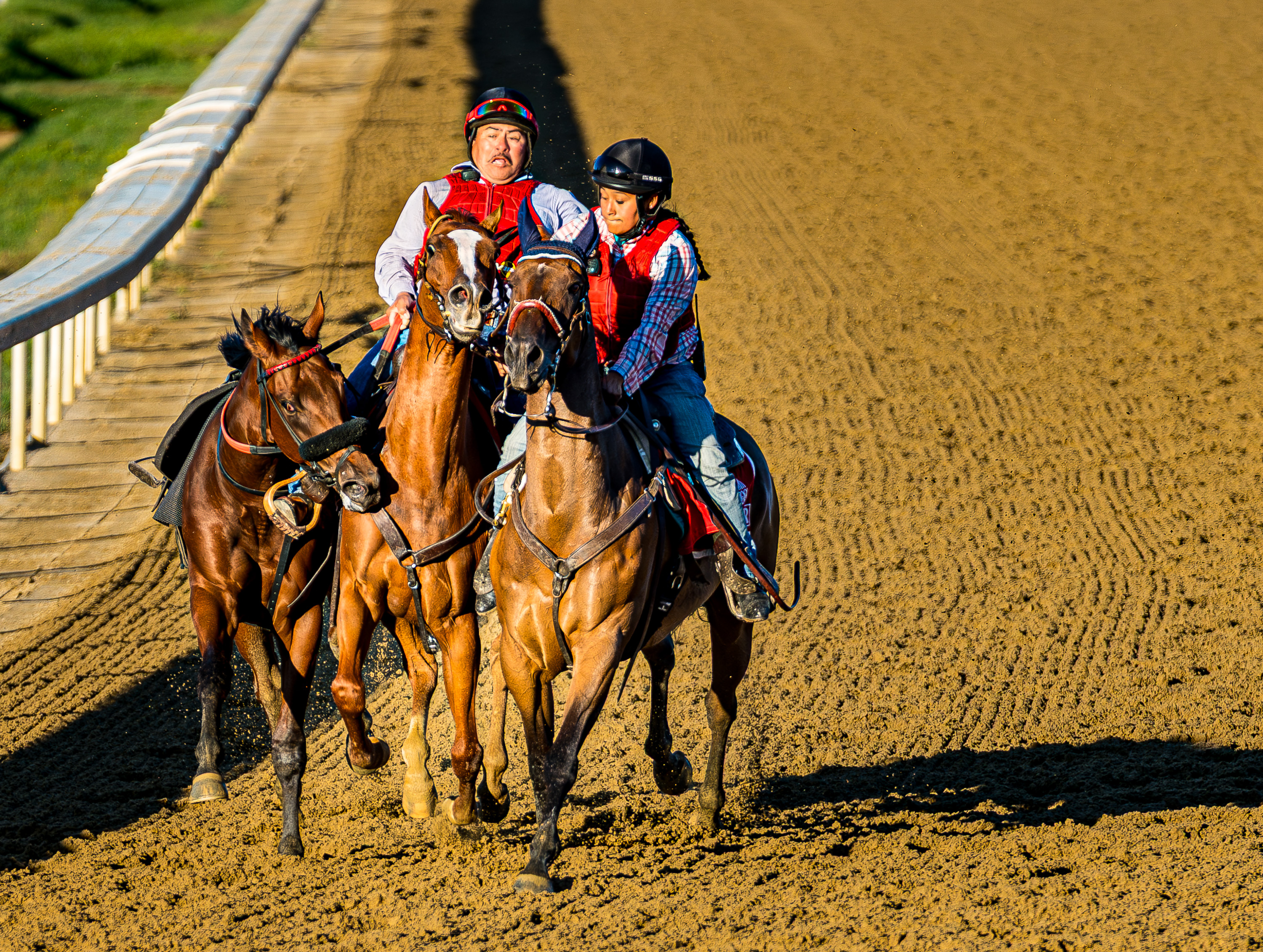 "Catching Feelings" by Peggy Kohn
