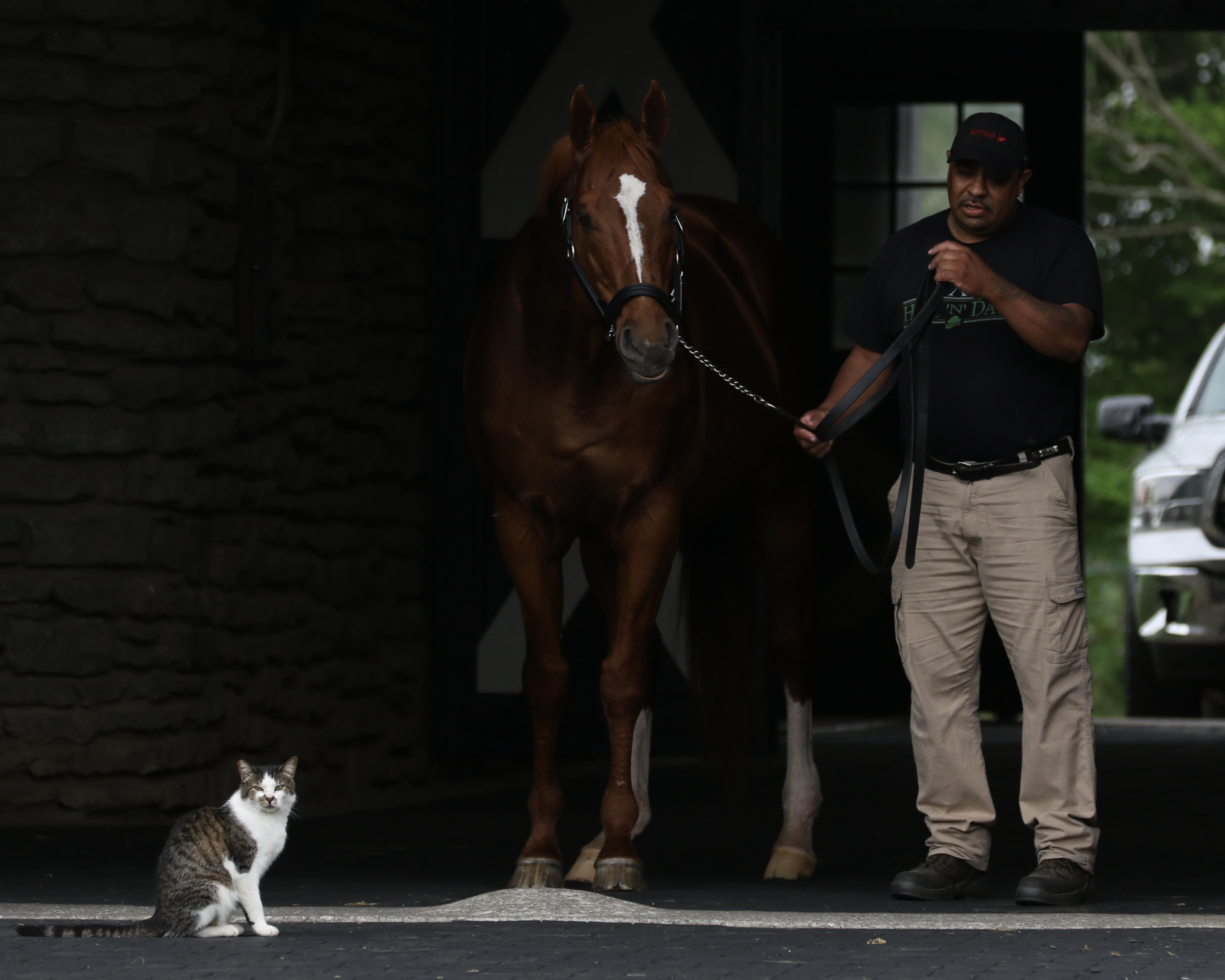 "The Star of the Show' by Emily Gricco