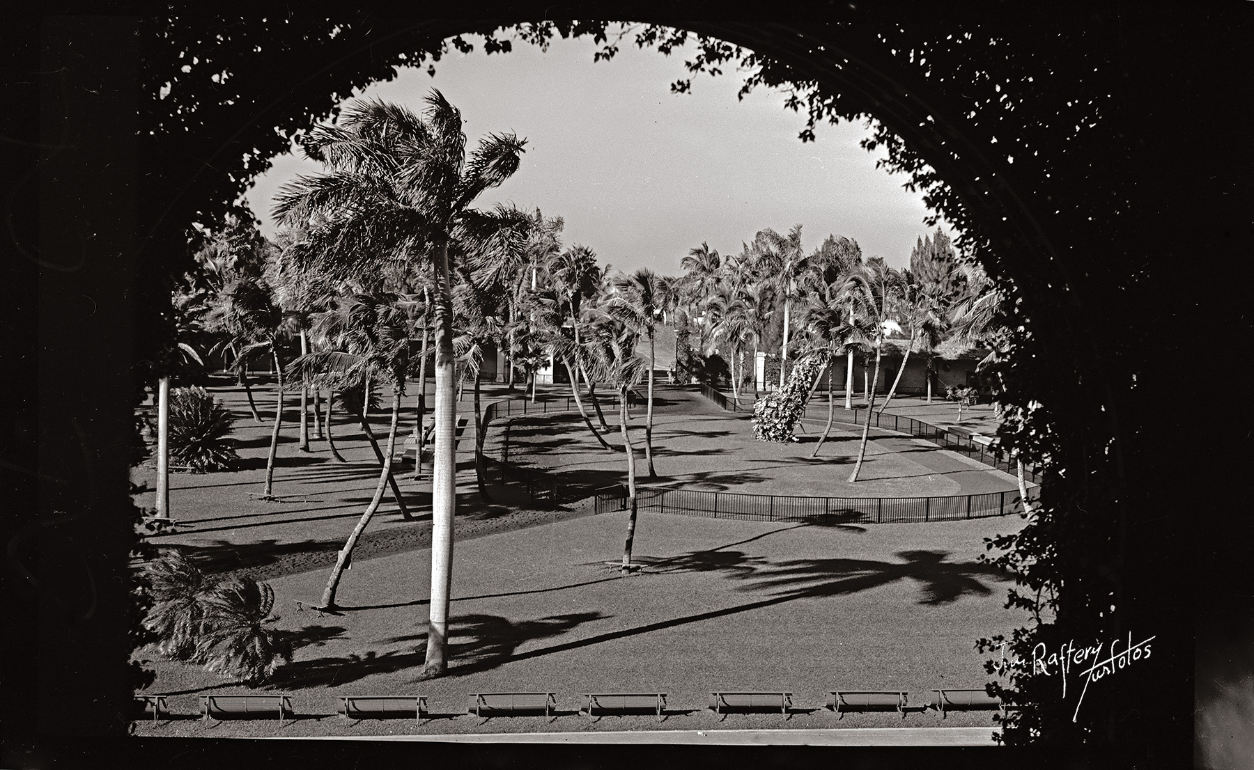 Hialeah Park. One of Raftery's earliest negatives, likely from 1941. (Jim Raftery Turfotos)