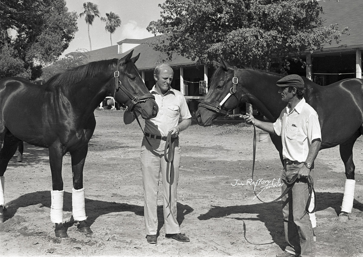 Honest Pleasure, on left with trainer LeRoy Jolley, and Foolish Pleasure, Hialeah Park, March 1976. The other man is not identified. (Jim Raftery Turfotos)