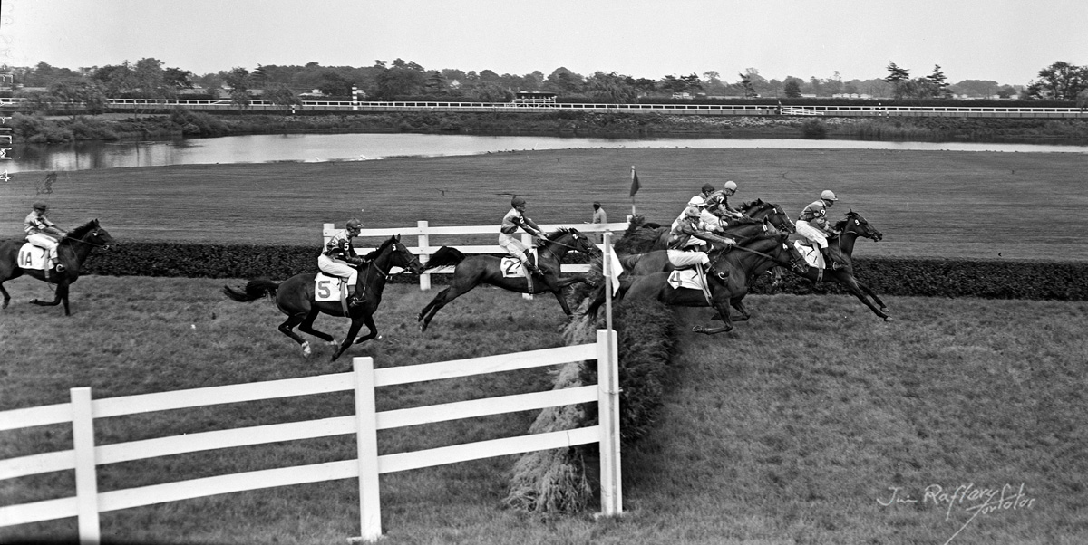 Monmouth Park steeplechase race, "last obstacle," July 17, 1958. Race was won by Amateur. (Jim Raftery Turfotos)