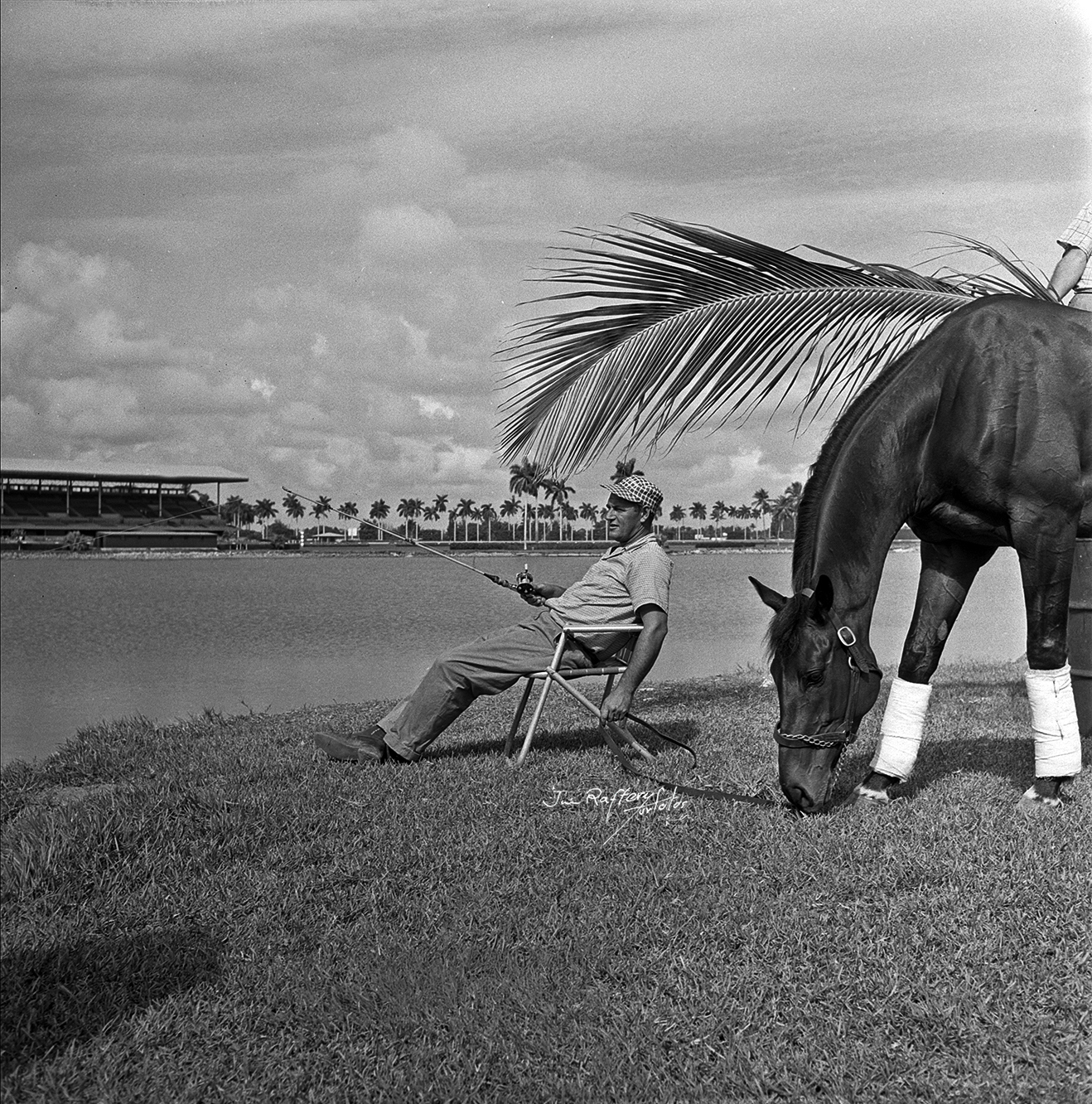 What Sir, with trainer Bill Mitchell fishing the infield pond, at Gulfstream Park, February (1957 (Jim Raftery Turfotos)