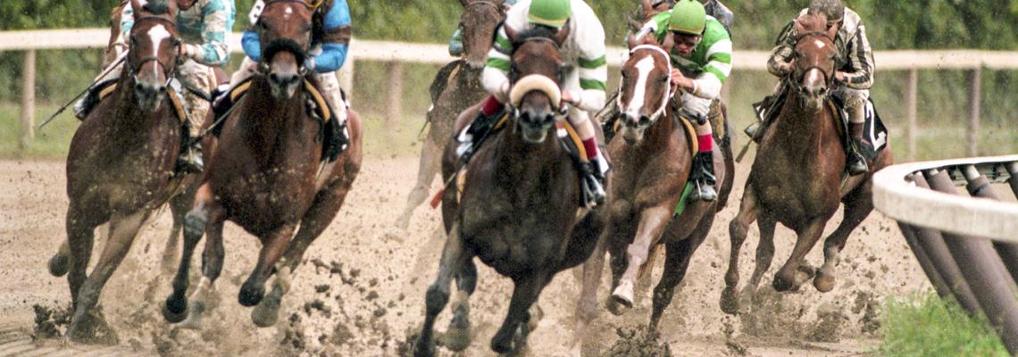 Horses charging around the turn for home, Saratoga Race Course