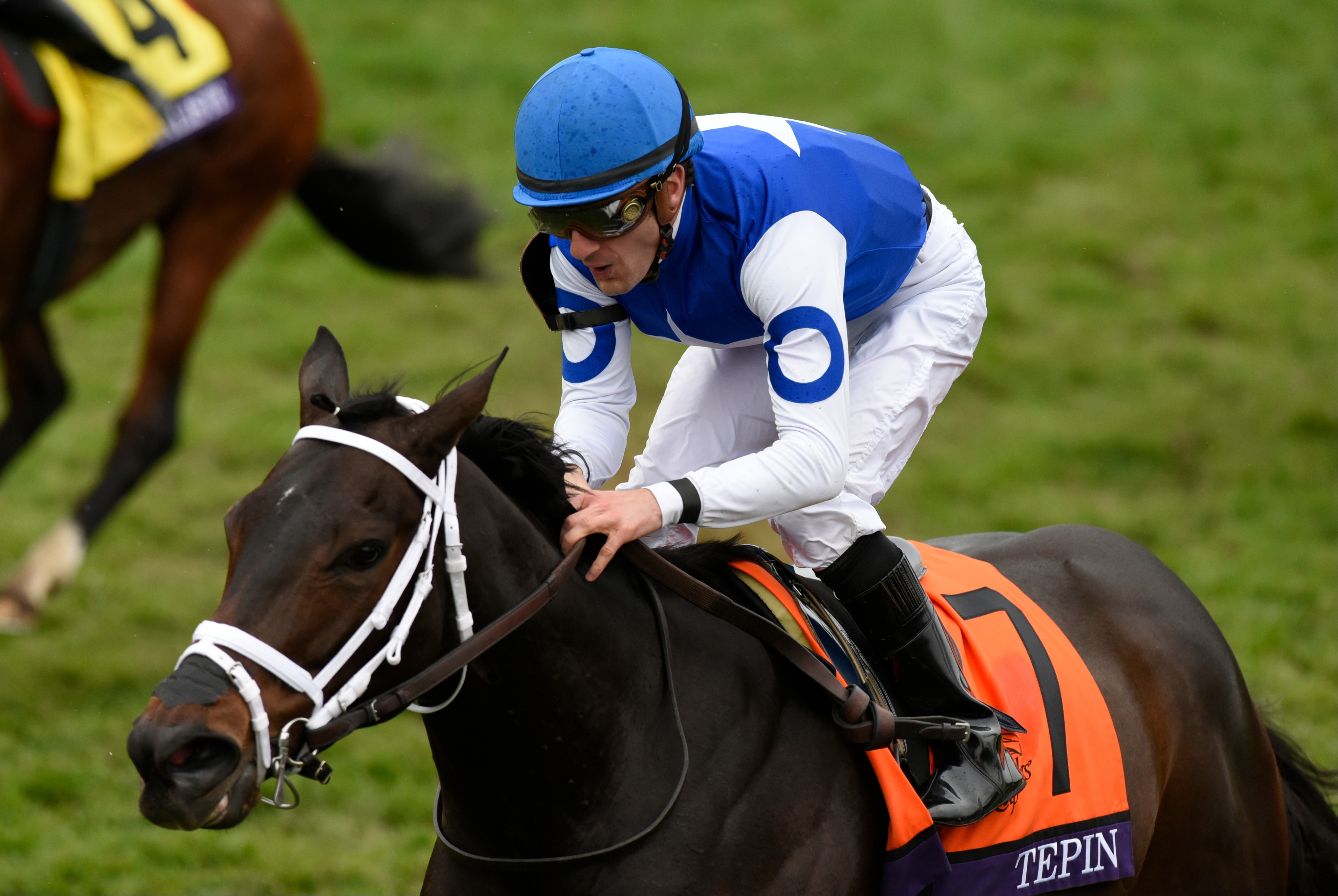 Tepin, Julien Leparoux up, winning the 2015 Breeders' Cup Mile at Keeneland (Breeders' Cup/Eclipse Sporstwire)