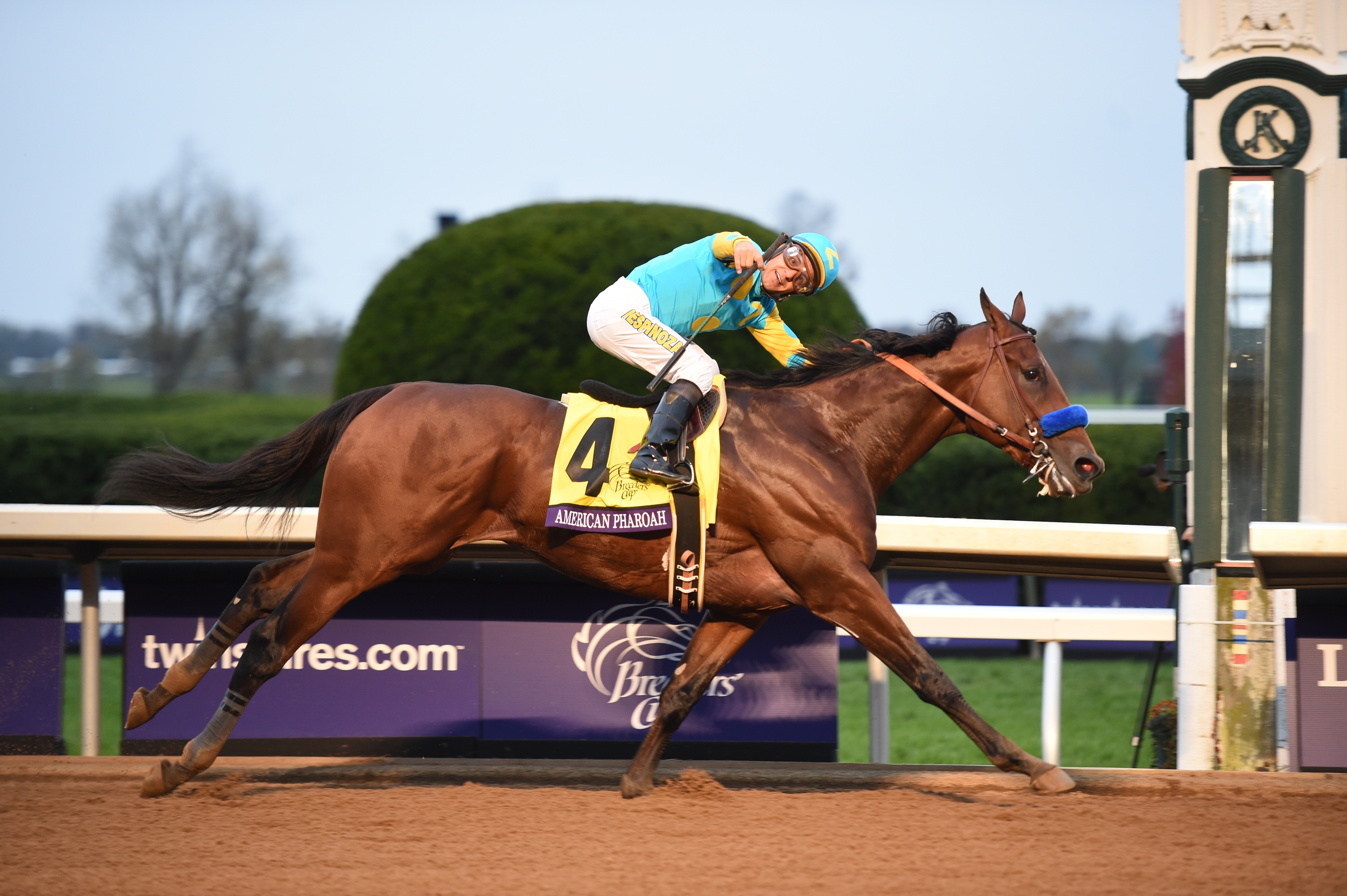American Pharoah, Victor Espinoza up, winning the 2015 Breeders' Cup Classic at Keeneland in track-record time (Breeders' Cup/Eclipse Sportswire)