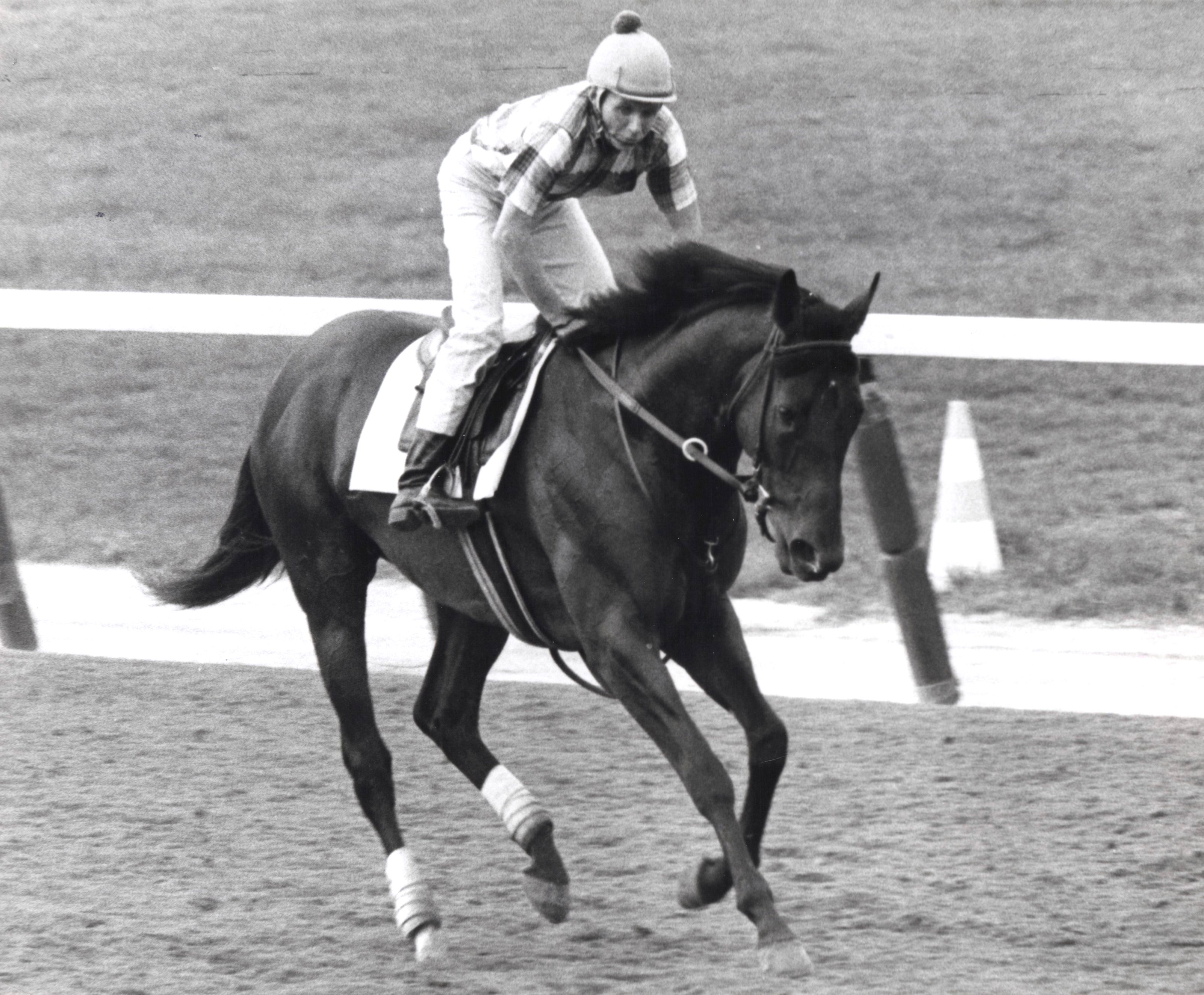 Damascus  at Belmont, September 1968 (NYRA/Paul Schafer /Museum Collection)