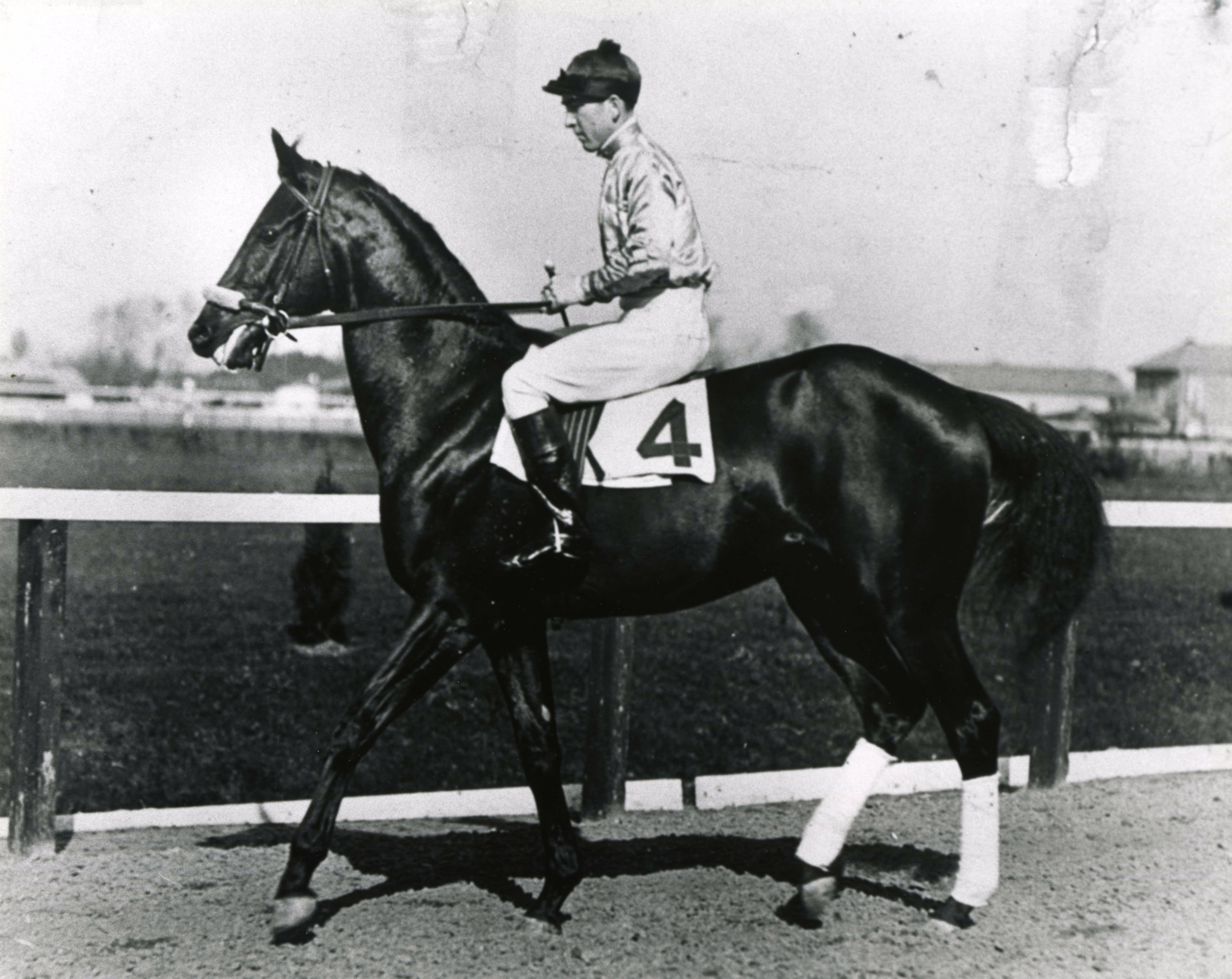 Black Gold warming up before a race in 1923 (The BloodHorse/Museum Collection)