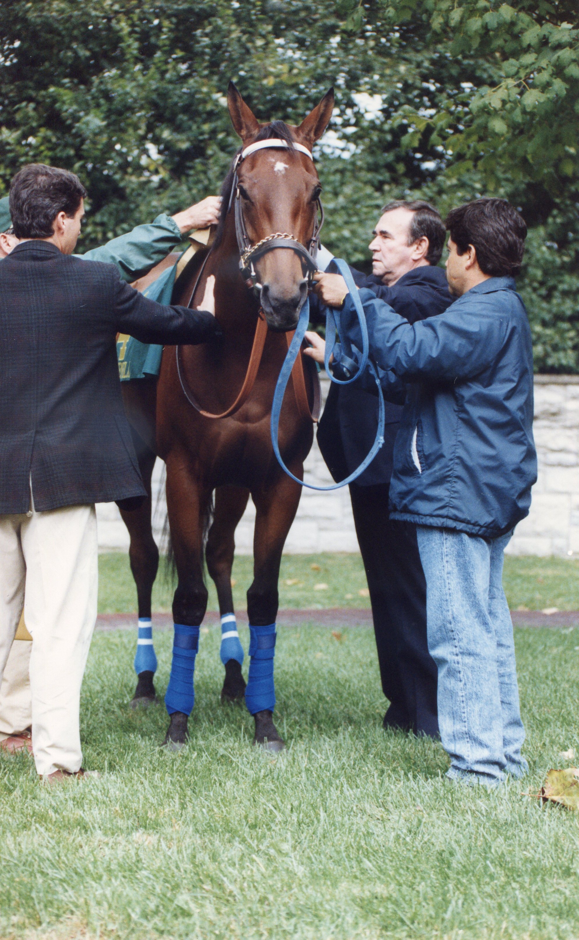 Paseana being saddled by trainer Ron McAnally (Robin Ann Barry/Museum Collection)