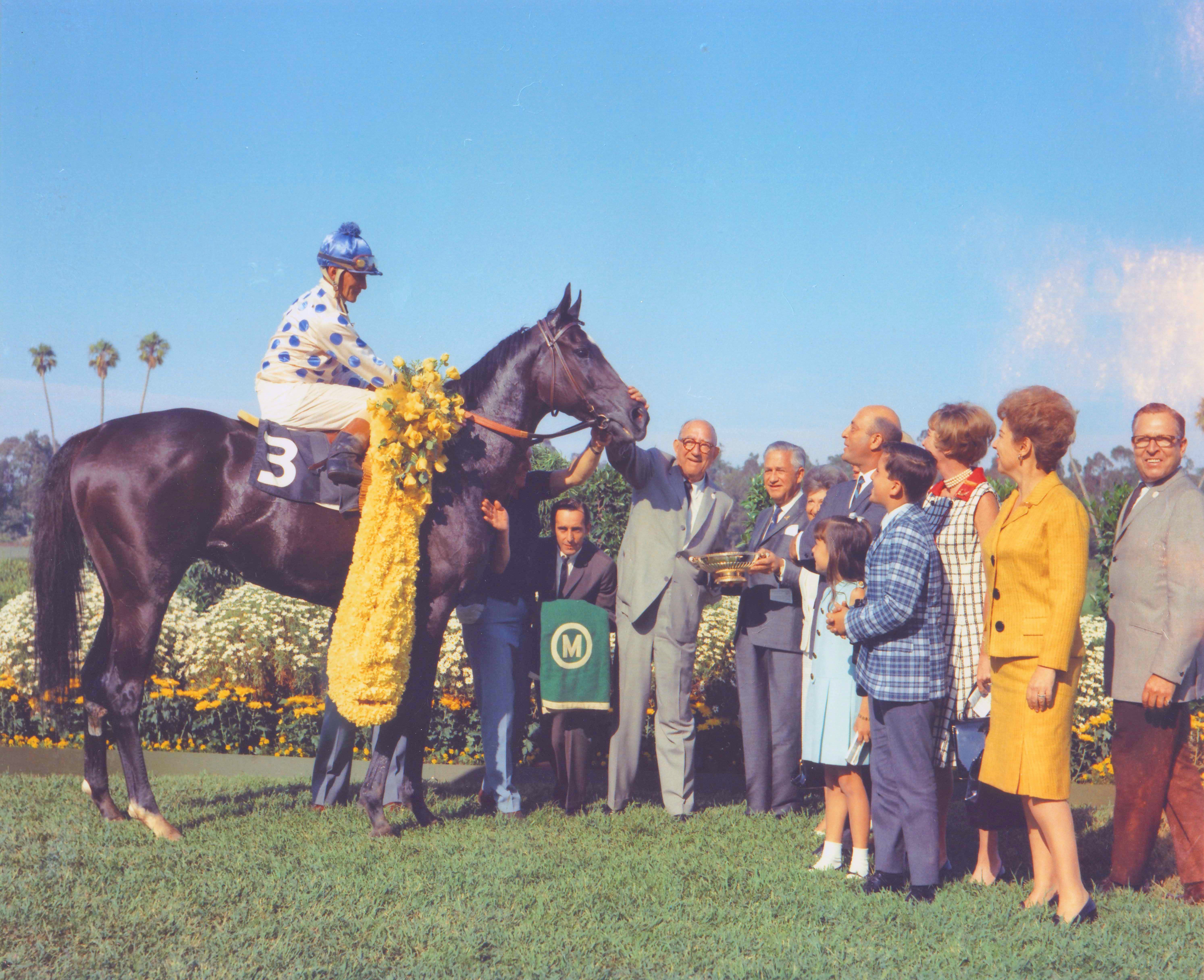 Native Diver in the winners circle after capturing his third straight victory in the Hollywood Gold Cup (Bill Mochon/Museum Collection)