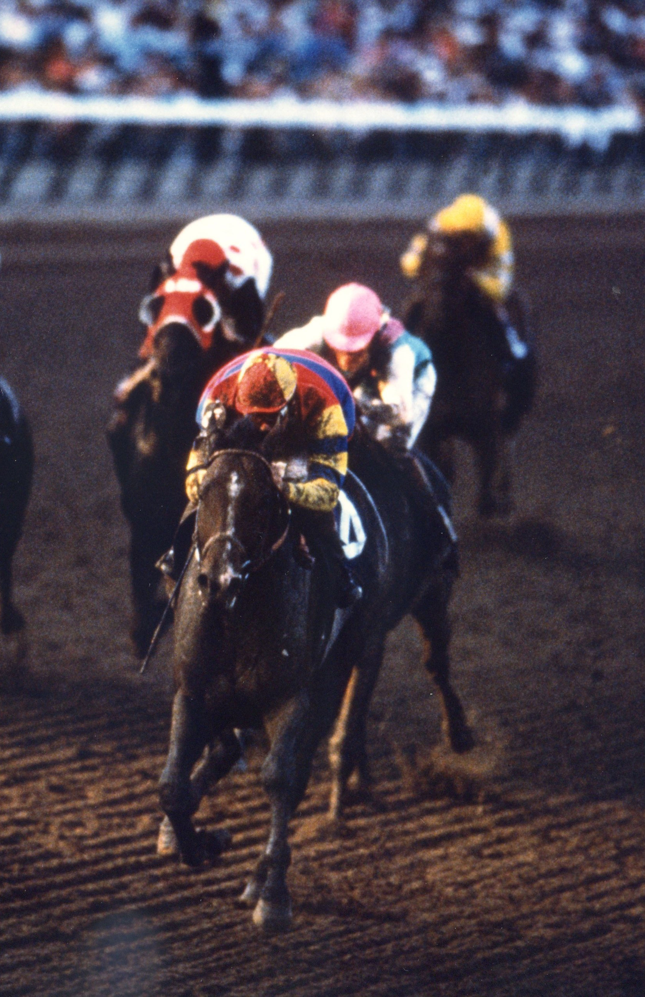 A.P. Indy (Eddie Delahoussaye up) turning for home in the 1992 Breeders' Cup Classic at Gulfstream Park (Breeders' Cup Photo/Museum Collection)