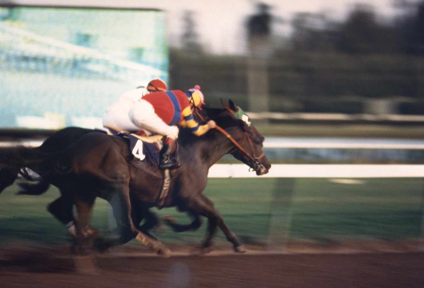 A.P. Indy (Eddie Delahoussaye up) during the 1992 Breeders' Cup Classic (Breeders' Cup Photo/Museum Collection)