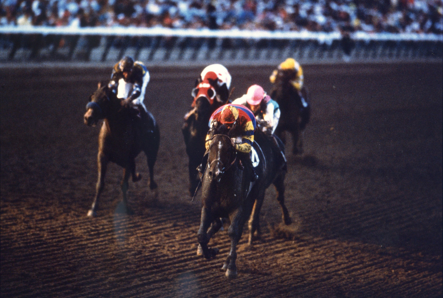 A.P. Indy (Eddie Delahoussaye up) turning for home in the 1992 Breeders' Cup Classic (Breeders' Cup Photo/Museum Collection)