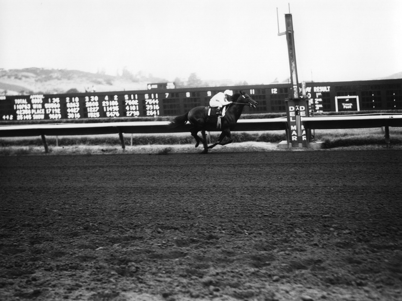 Ack Ack (Bill Shoemaker up) racing at Del Mar Thoroughbred Club, September 1970 (Del Mar Thoroughbred Club/Museum Collection)