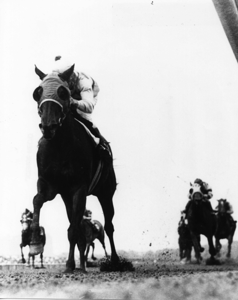 Affectionately (Walter Blum up) winning the 1965 Liberty Belle Handicap at Aqueduct (The BloodHorse/Museum Collection)