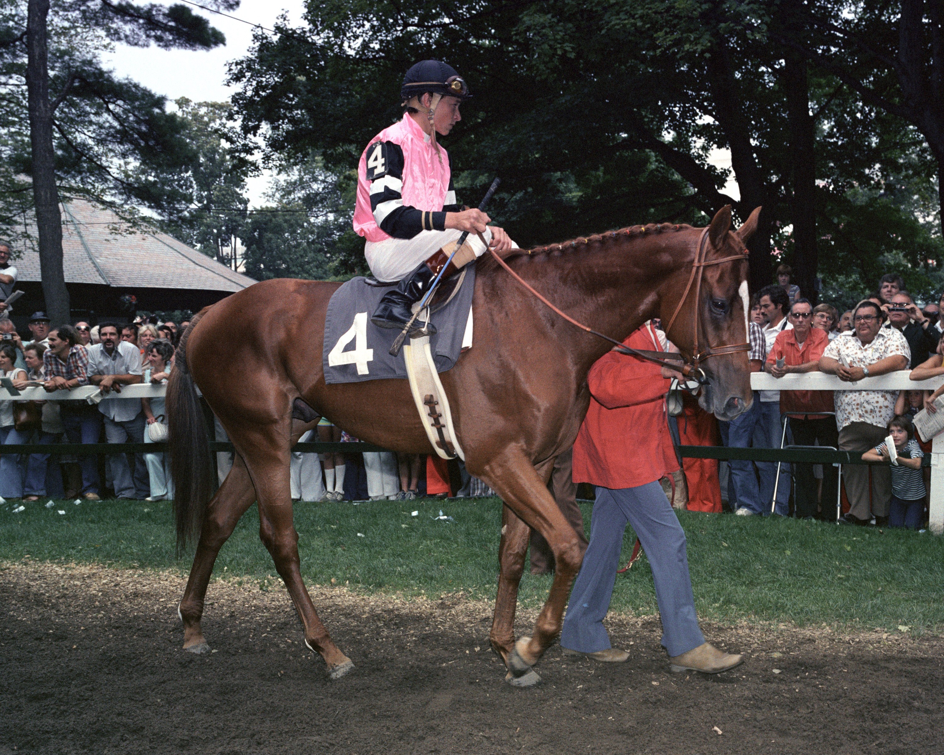 Affirmed, Steve Cauthen up, at Saratoga Race Course (Museum Collection)