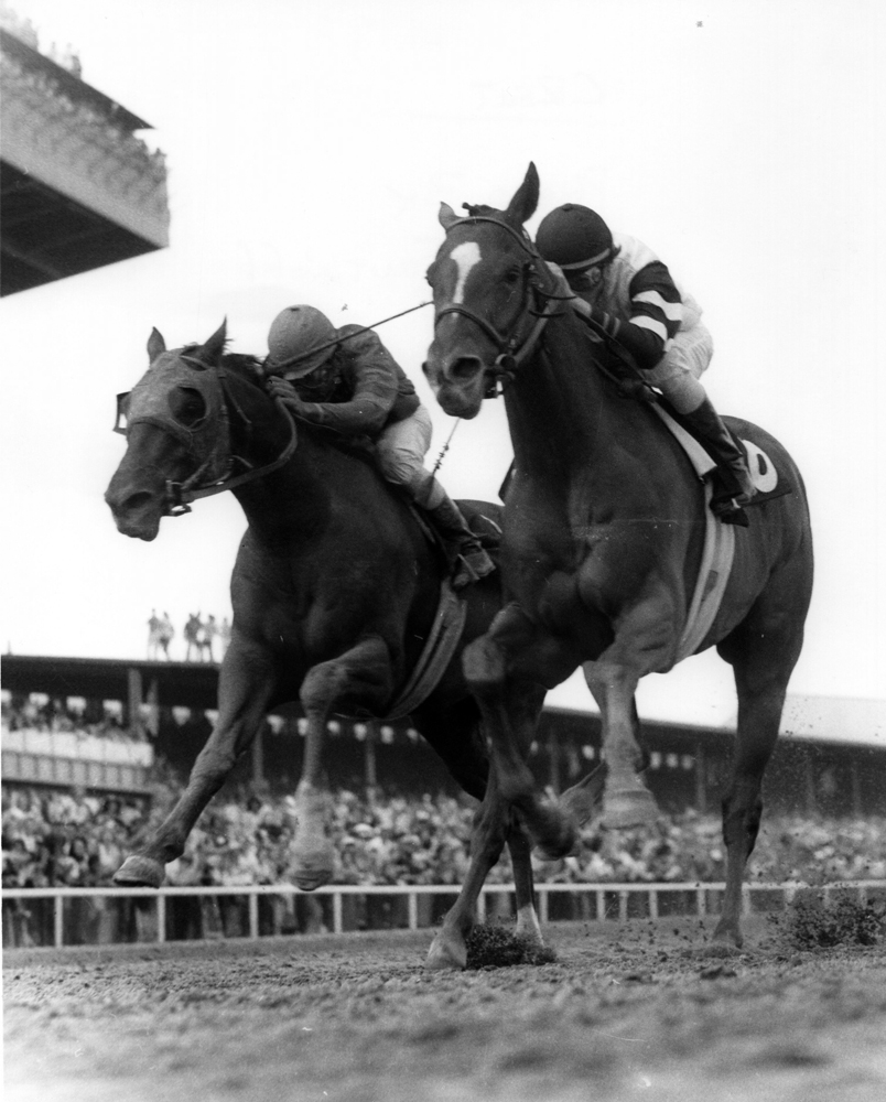 Affirmed (Steve Cauthen up) dueling Alydar (Jorge Velasquez up) for the win in the 1977 Laurel Futurity (Jerry Frutkoff/Museum Collection)