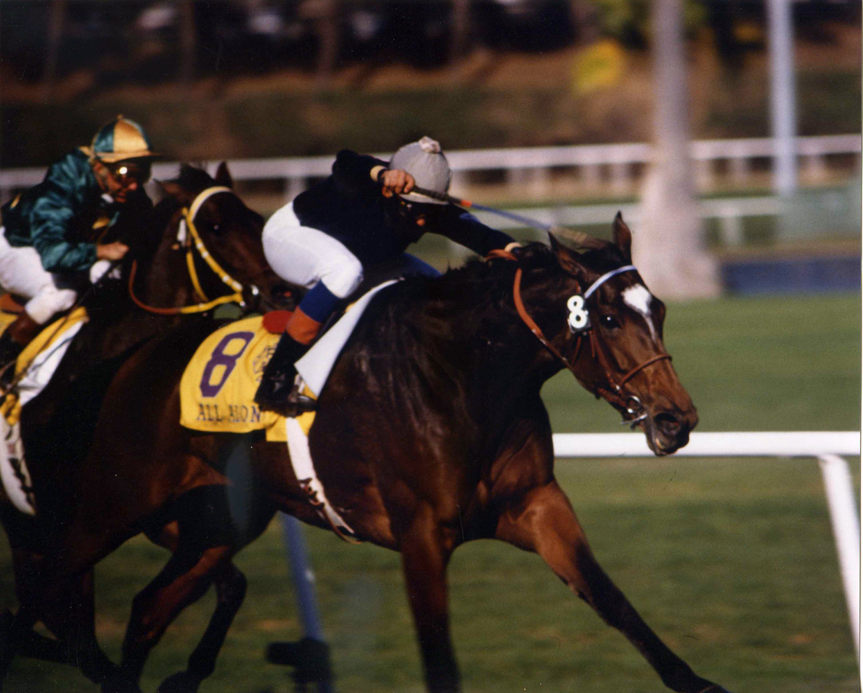 All Along at the 1984 Breeders' Cup at Hollywood Park (Katey Barrett/Museum Collection)