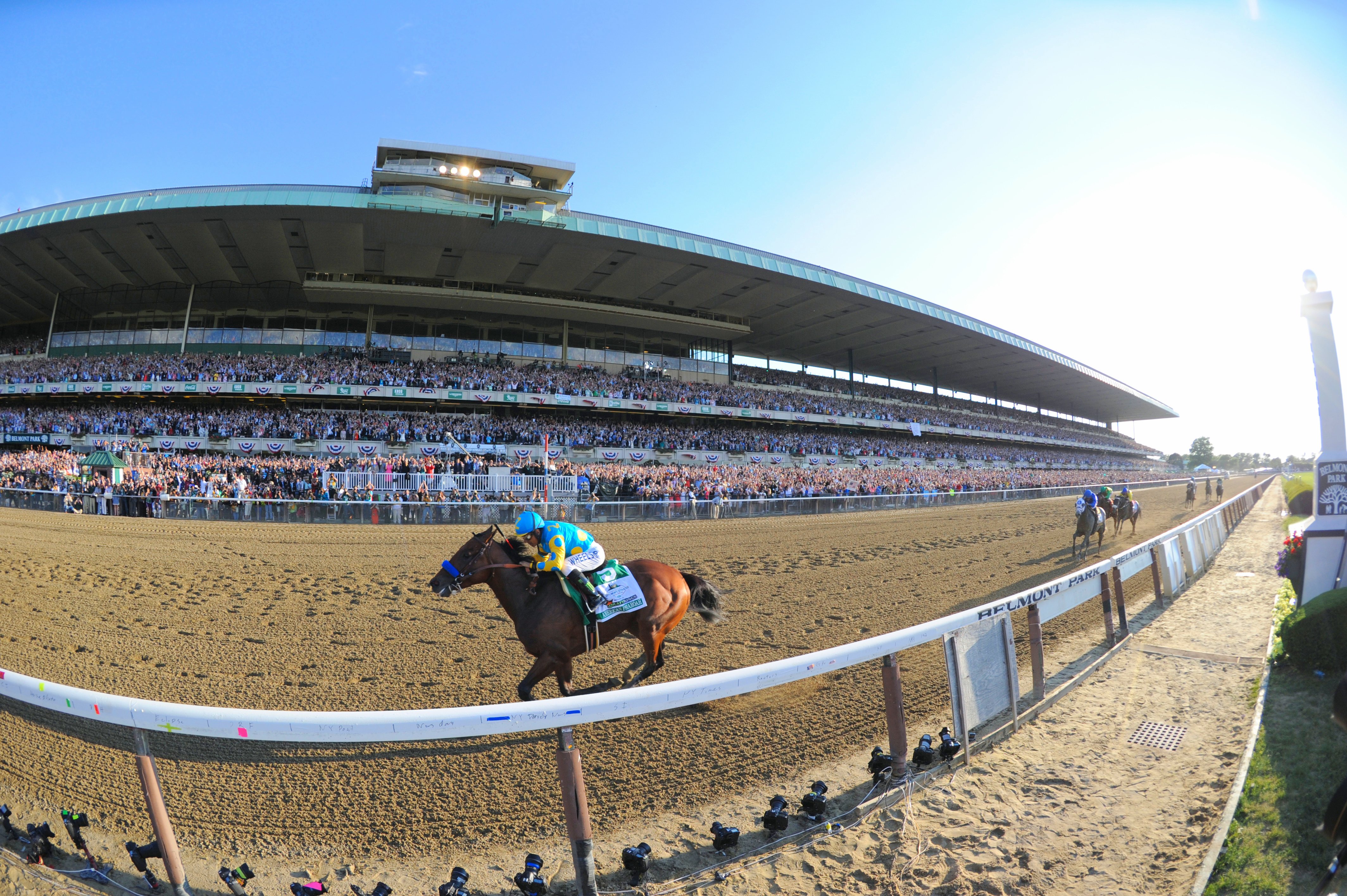 American Pharoah, Victor Espinoza up, winning the 2015 Belmont Stakes to become America's 12th Triple Crown winner (NYRA)