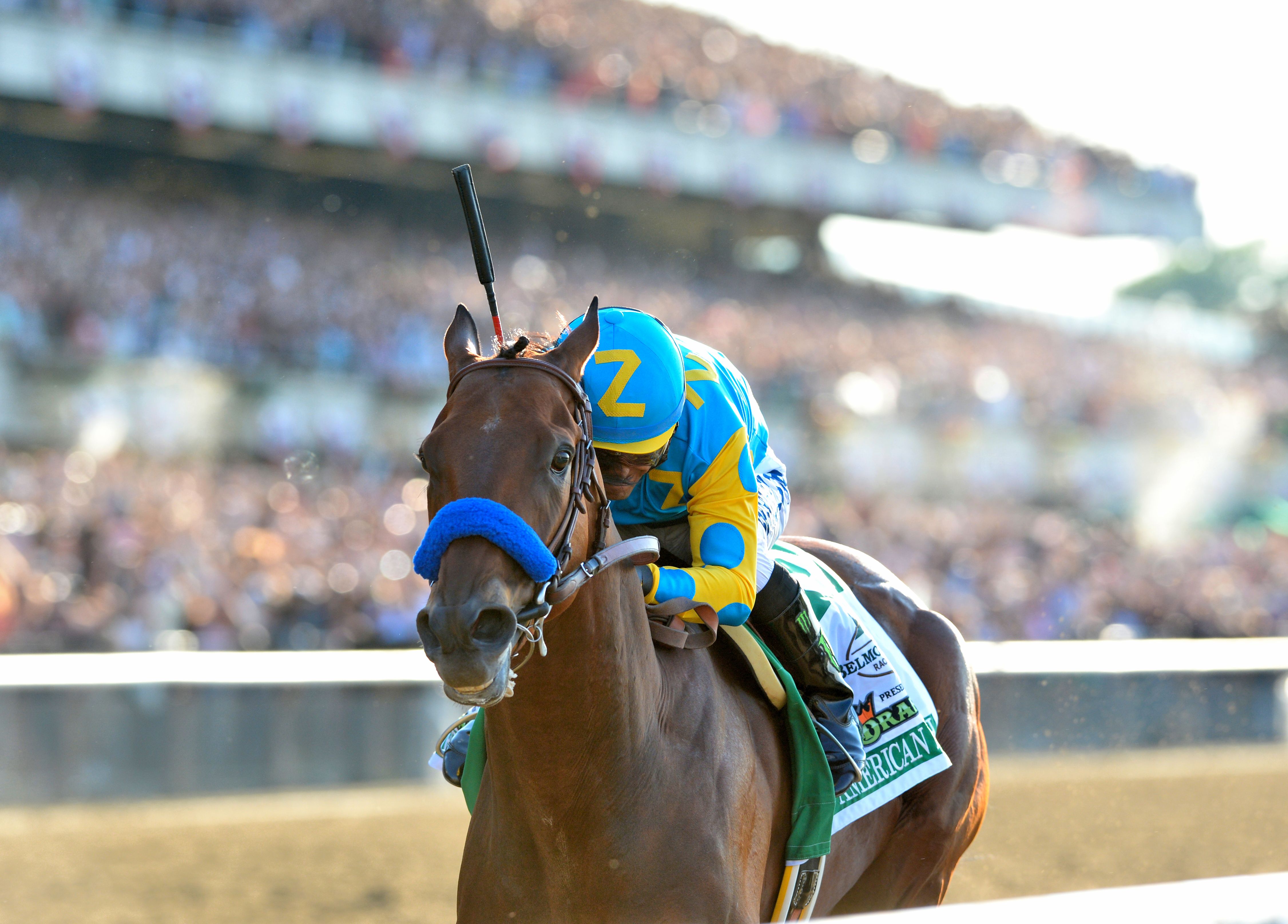 American Pharoah, Victor Espinoza up, winning the 2015 Belmont Stakes to become America's 12th Triple Crown winner (NYRA)