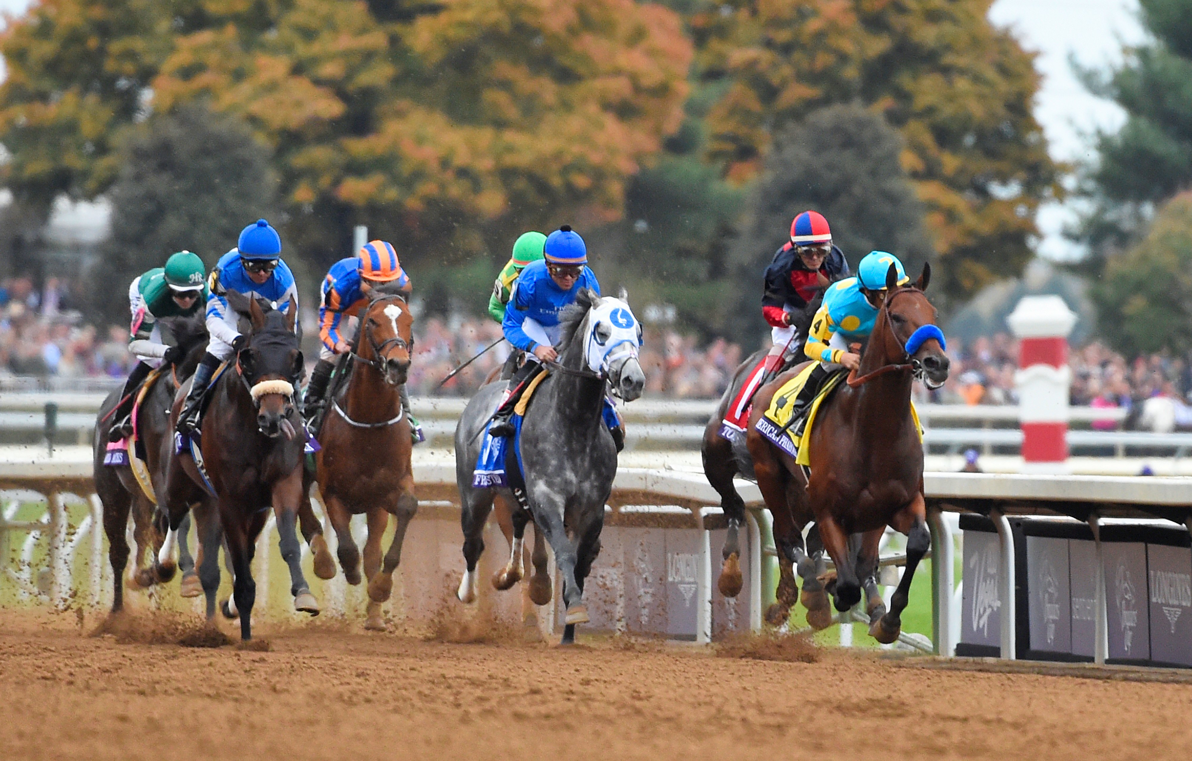 American Pharoah, Victor Espinoza up, winning the 2015 Breeders' Cup Classic at Keeneland in track-record time (Skip Dickstein)