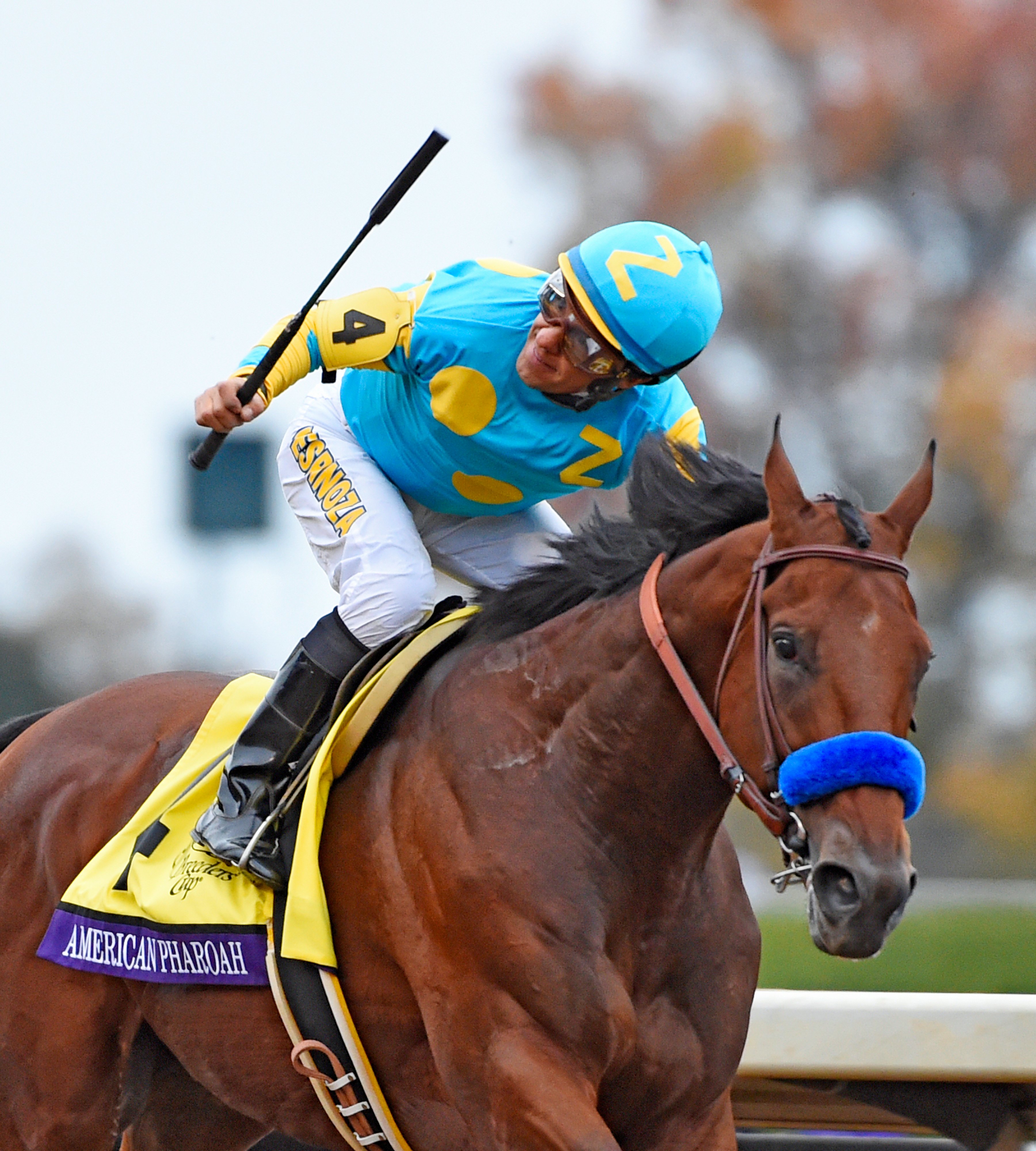 American Pharoah, Victor Espinoza up, winning the 2015 Breeders' Cup Classic at Keeneland in track-record time (Skip Dickstein)