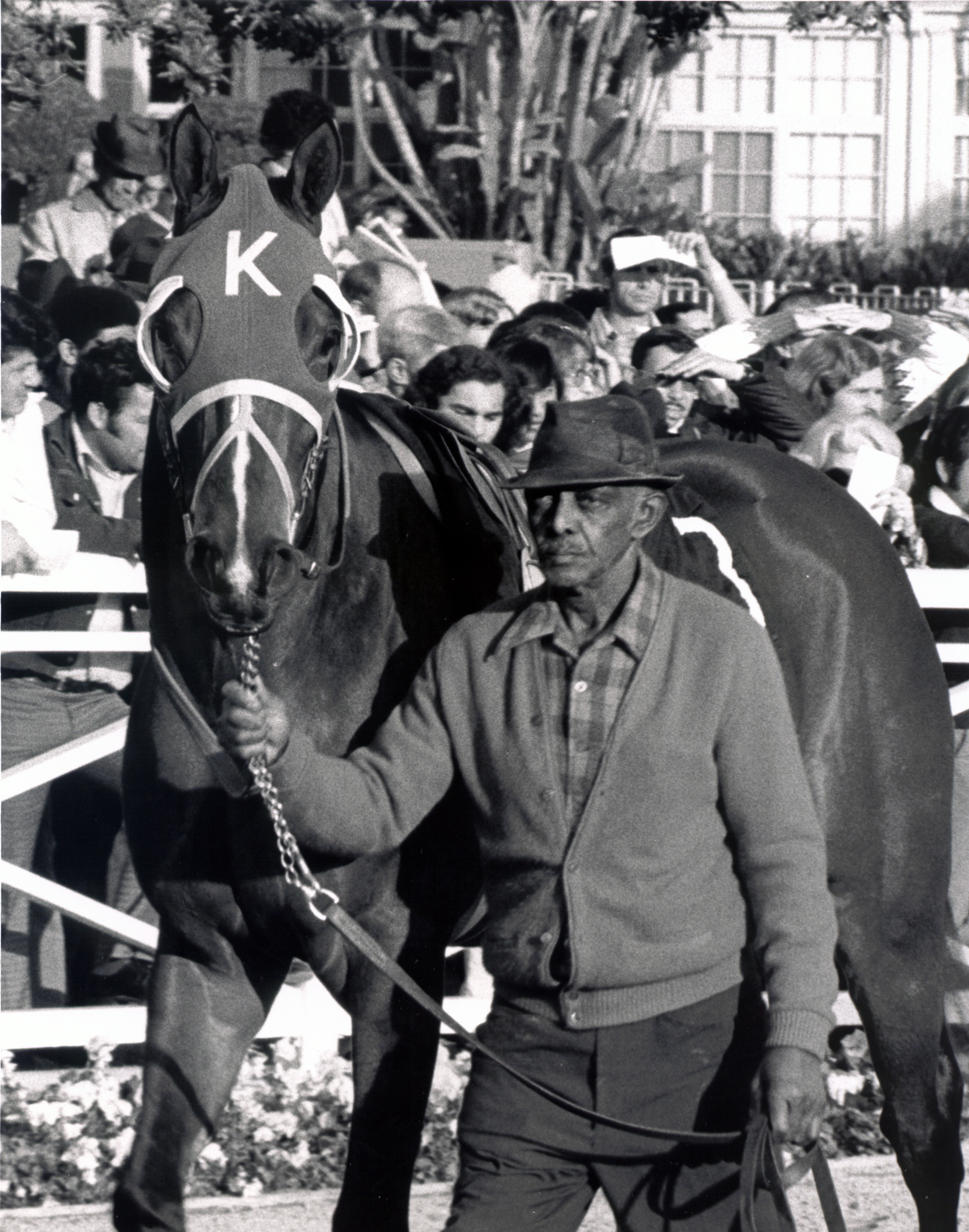 Ancient Title in the Santa Anita paddock (Bill Mochon/Museum Collection)