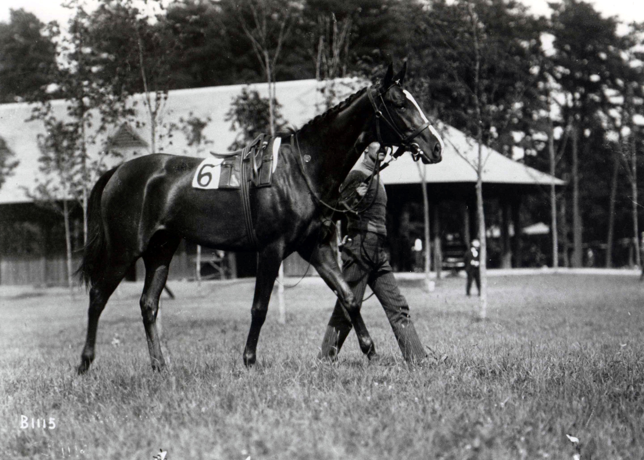 Artful walking around the paddock (Keeneland Library Cook Collection/Museum Collection)
