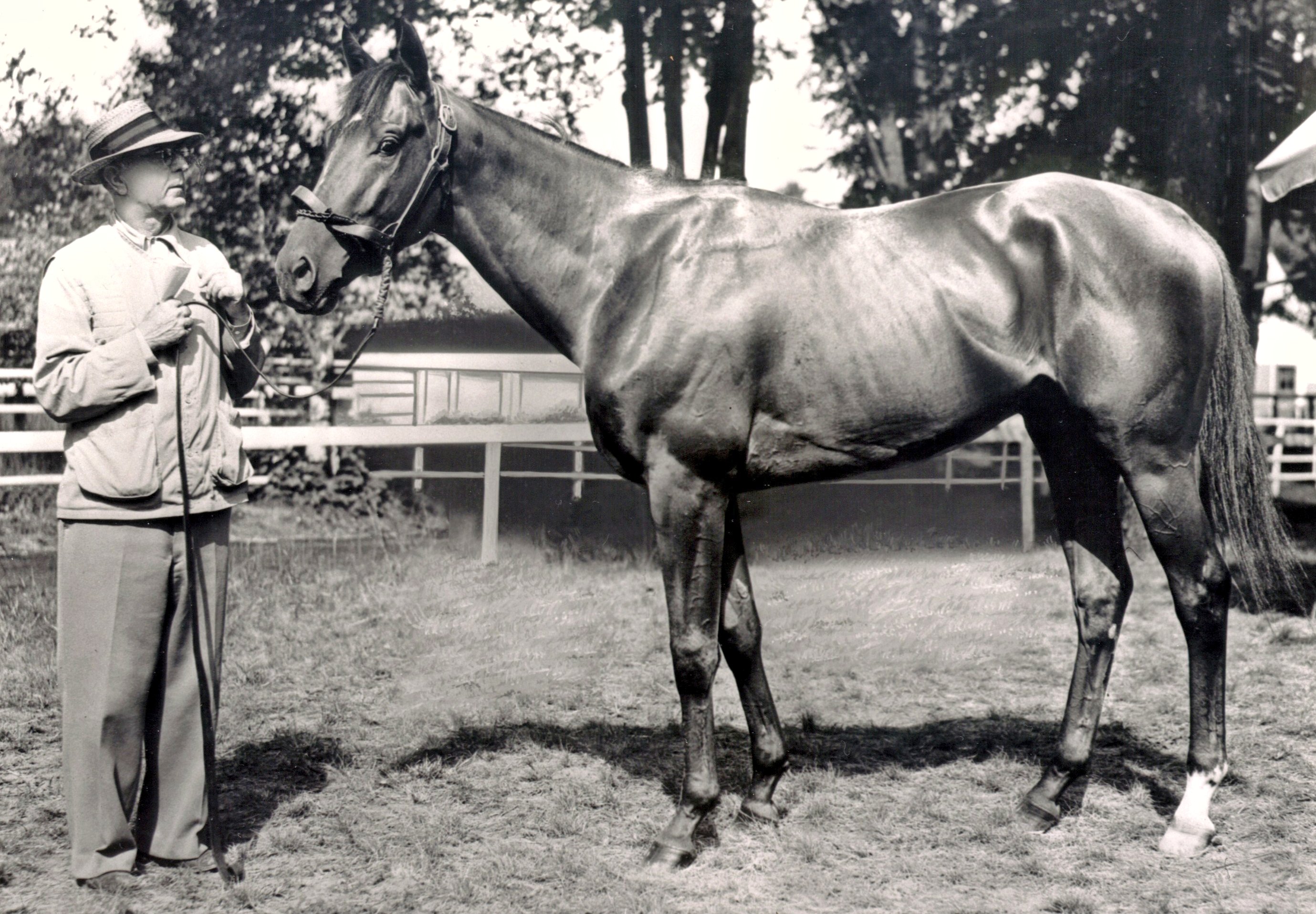 Hall of Fame trainer Max Hirsch with Assault (Keeneland Library Morgan Collection/Museum Collection)