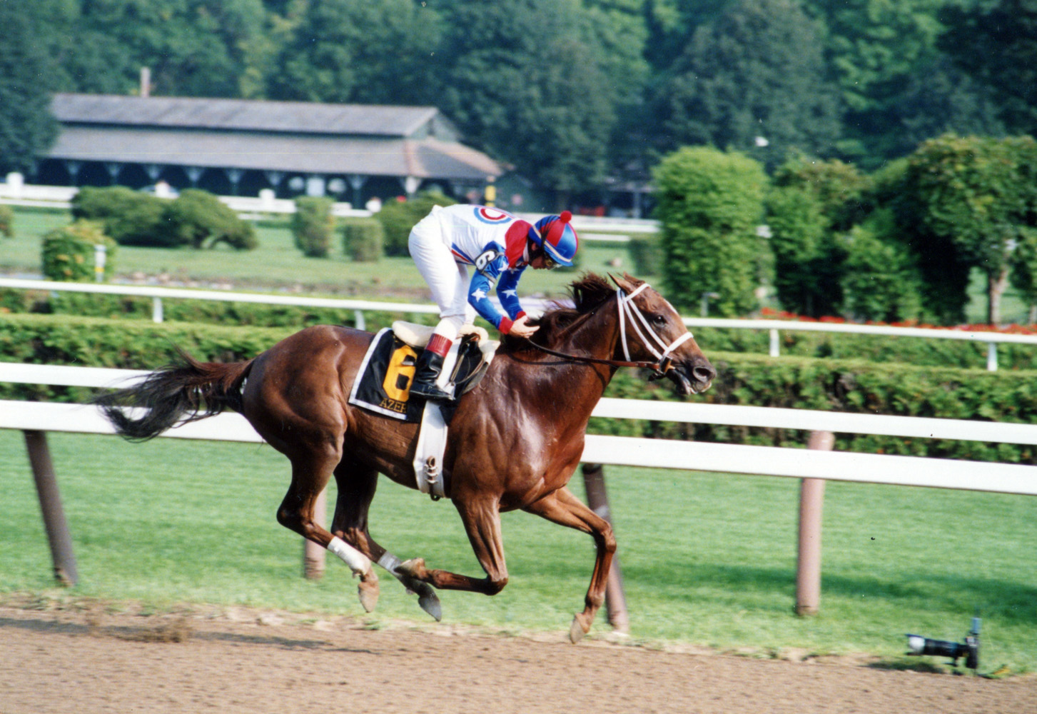 Azeri (Pat Day up) winning the 2004 Go for Wand Handicap at Saratoga (Mike Pender/Museum Collection)