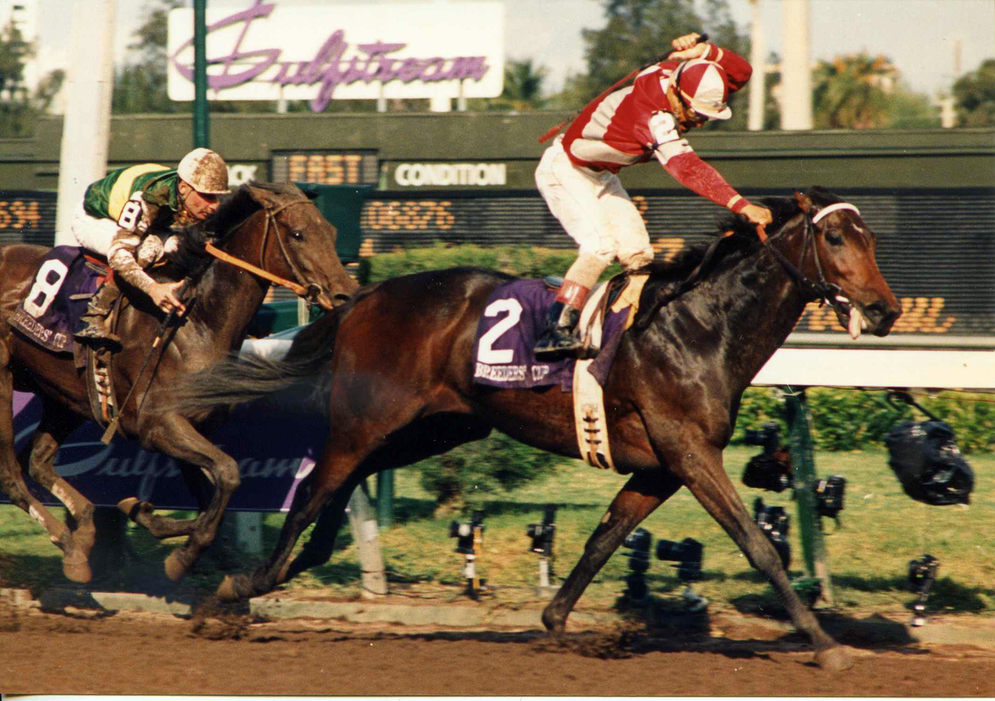 Bayakoa (Laffit Pincay, Jr. up) racing to victory the 1989 Breeders' Cup Distaff at Gulfstream Park (Barbara D. Livingston/Museum Collection)