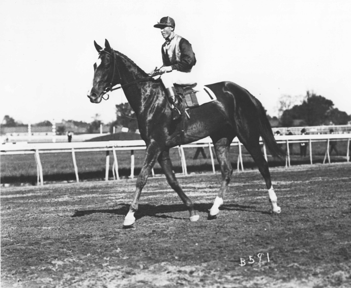 Beldame (Hildebrand up) in the 1904 Ladies Handicap at Morris Park (Keeneland Library Cook Collection/Museum Collection)