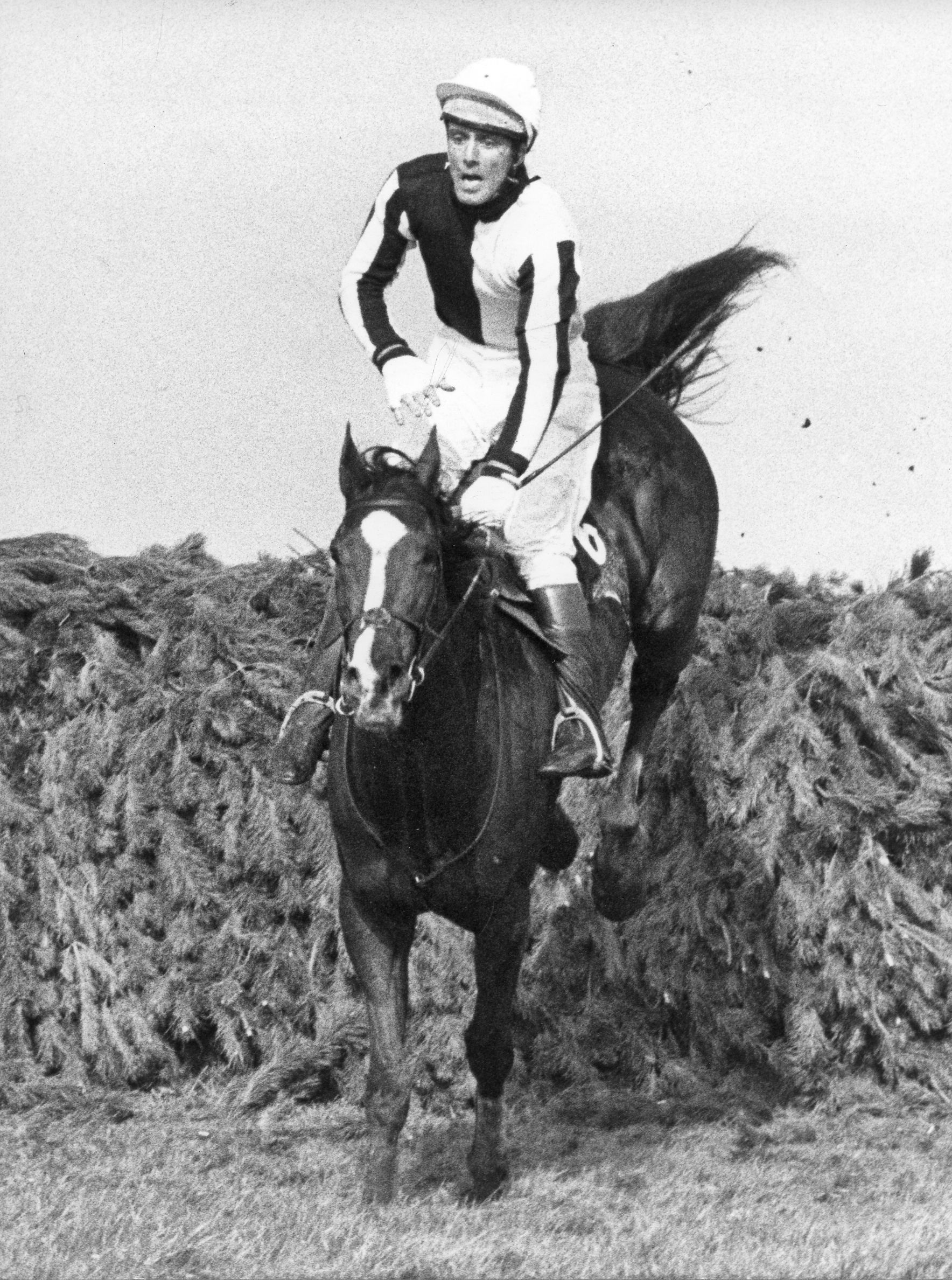 Ben Nevis II with Charles Fenwick, Jr., up at the 1980 English Grand National (Douglas Lees)