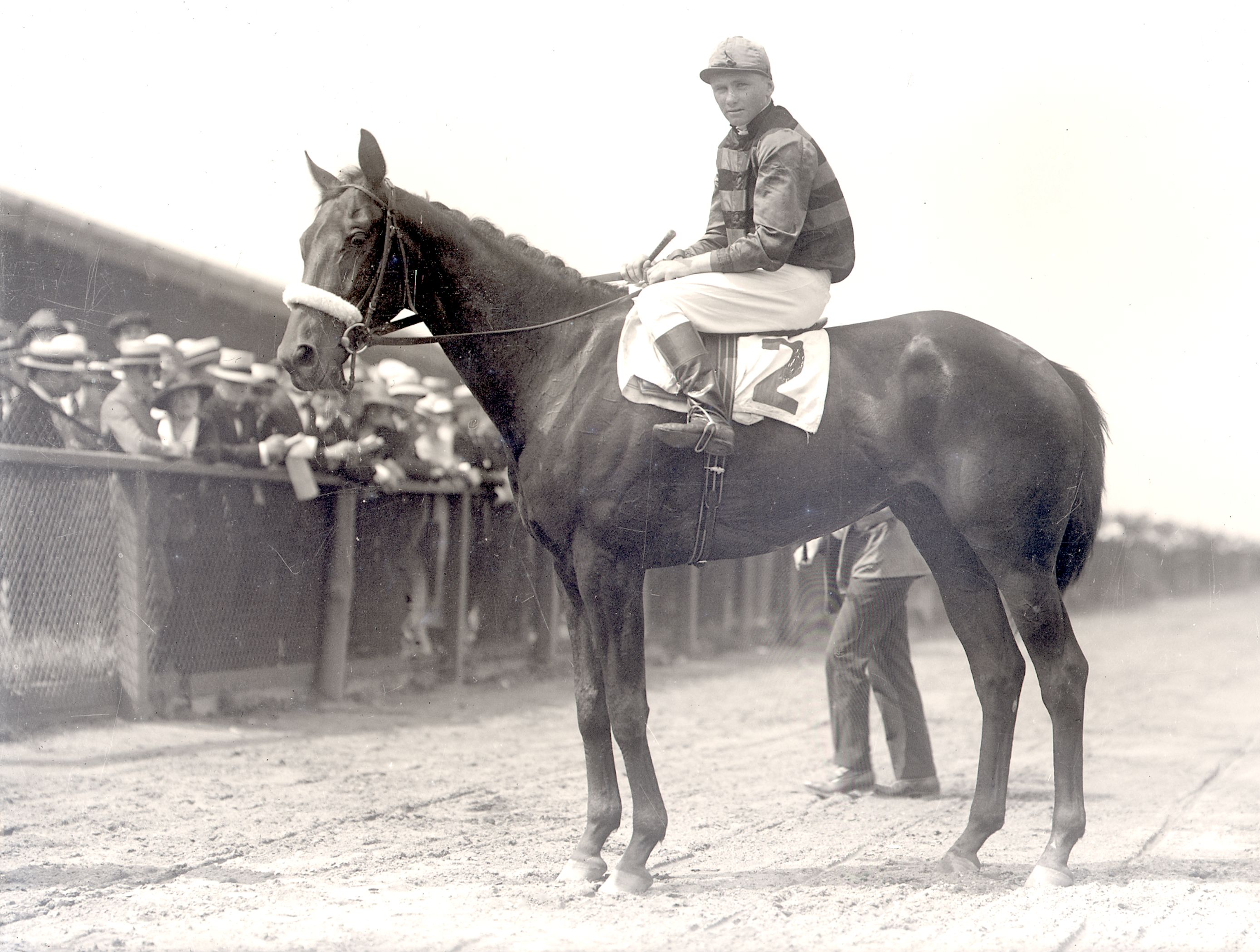 Billy Kelly (Earl Sande up) on the racetrack (Keeneland Library Cook Collection)