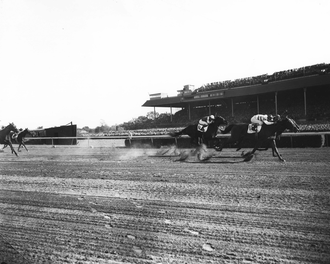 Busher (Eddie Arcaro up) racing to victory in the 1944 Matron at Belmont Park (Keeneland Library Morgan Collection/Museum Collection)