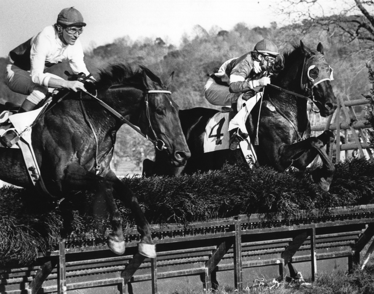 Café Prince with Jerry Fishback up (left) at the 1977 Samuel Martin Memorial Essex Hunt at Far Hills (Douglas Lees/Museum Collection)