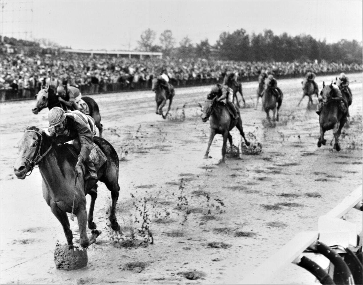 Carry Back (John Sellers up) winning the 1960 Garden State at Garden State Park (Jim Raftery Turfotos)