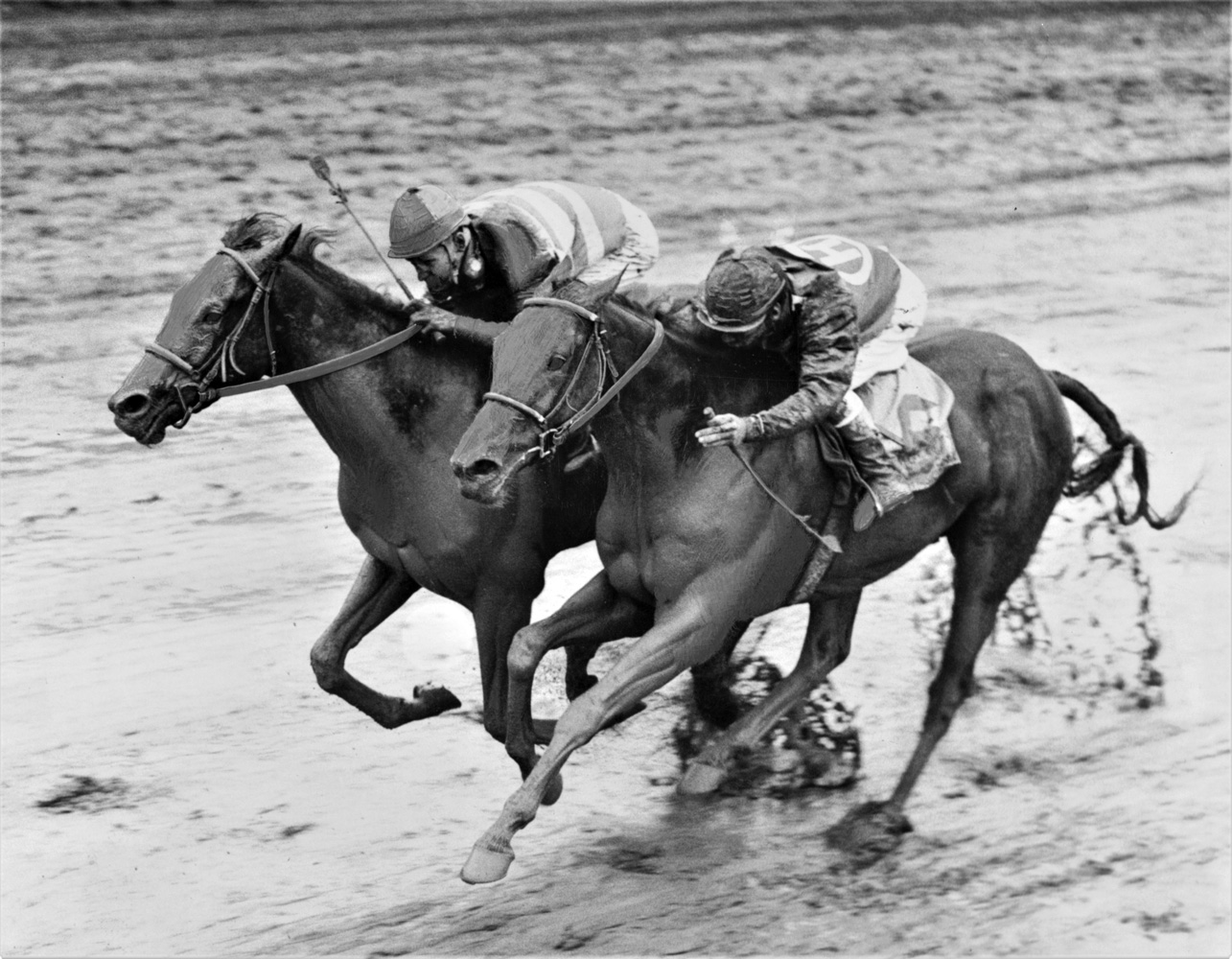 Carry Back (John Sellers up) wins the 1961 Florida Derby at Gulfstream Park by a head (Jim Raftery Turfotos)