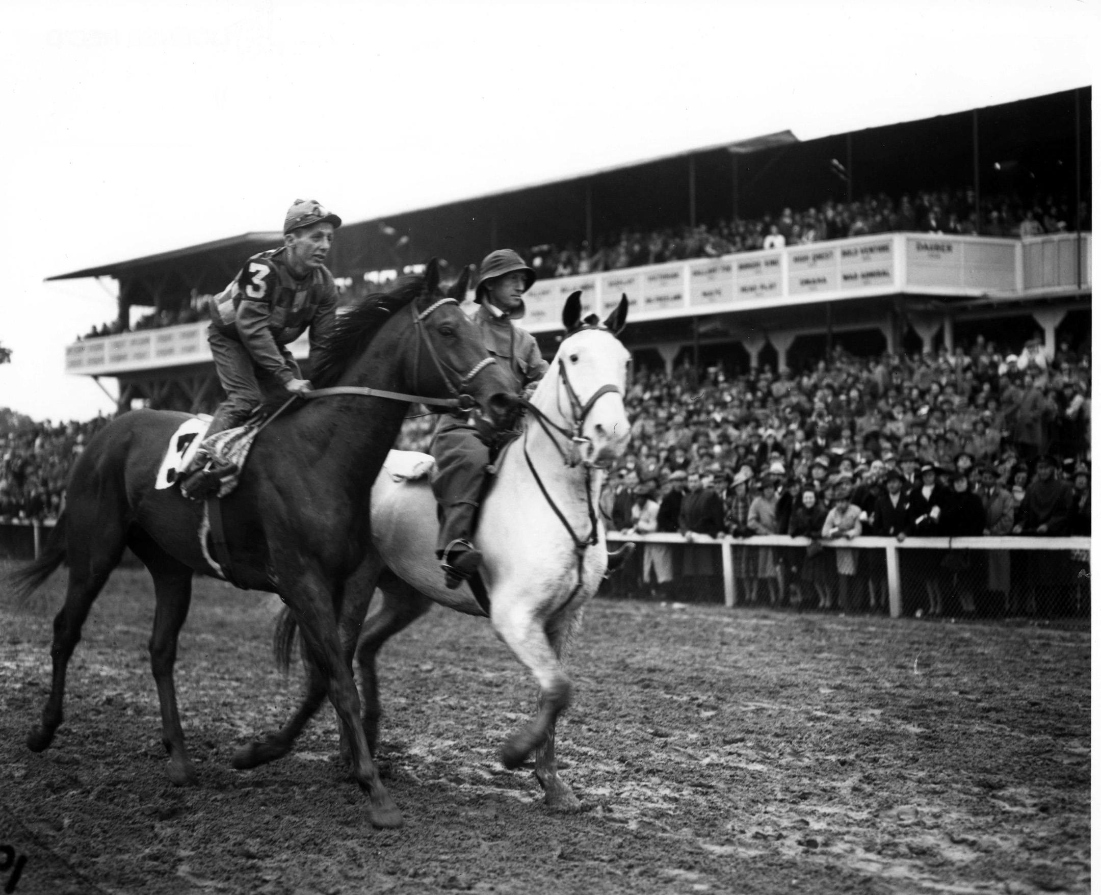 Challedon at the 1939 Preakness Stakes at Pimlico Race Course (Keeneland Library Morgan Collection/Museum Collection)