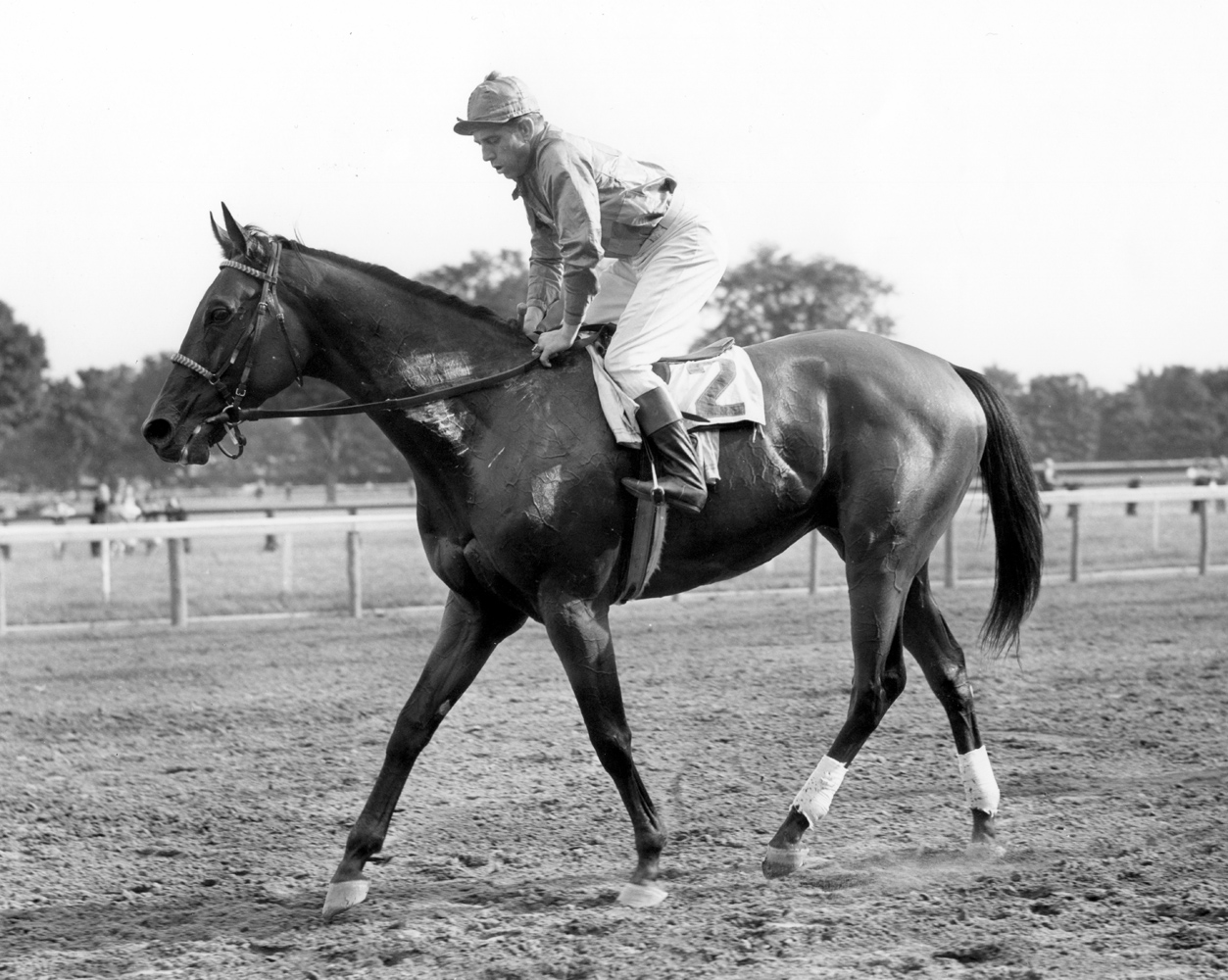 Challedon (George Woolf up) after winning the 1940 Whitney at Saratoga (Keeneland Library Cook Collection/Museum Collection)