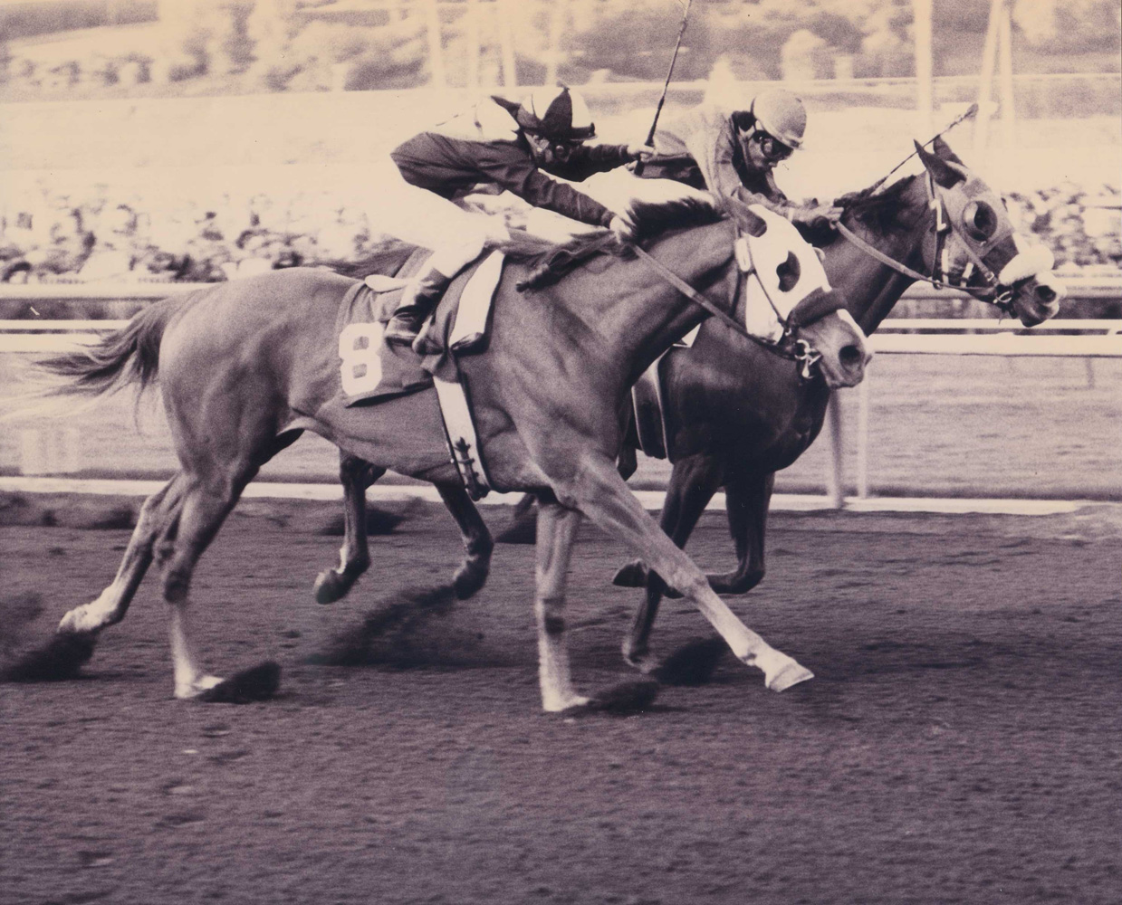 Chris Evert (on the inside with Jorge Velasquez up) winning the 1975 La Canada at Santa Anita by a nose (Santa Anita Photo/Museum Collection)