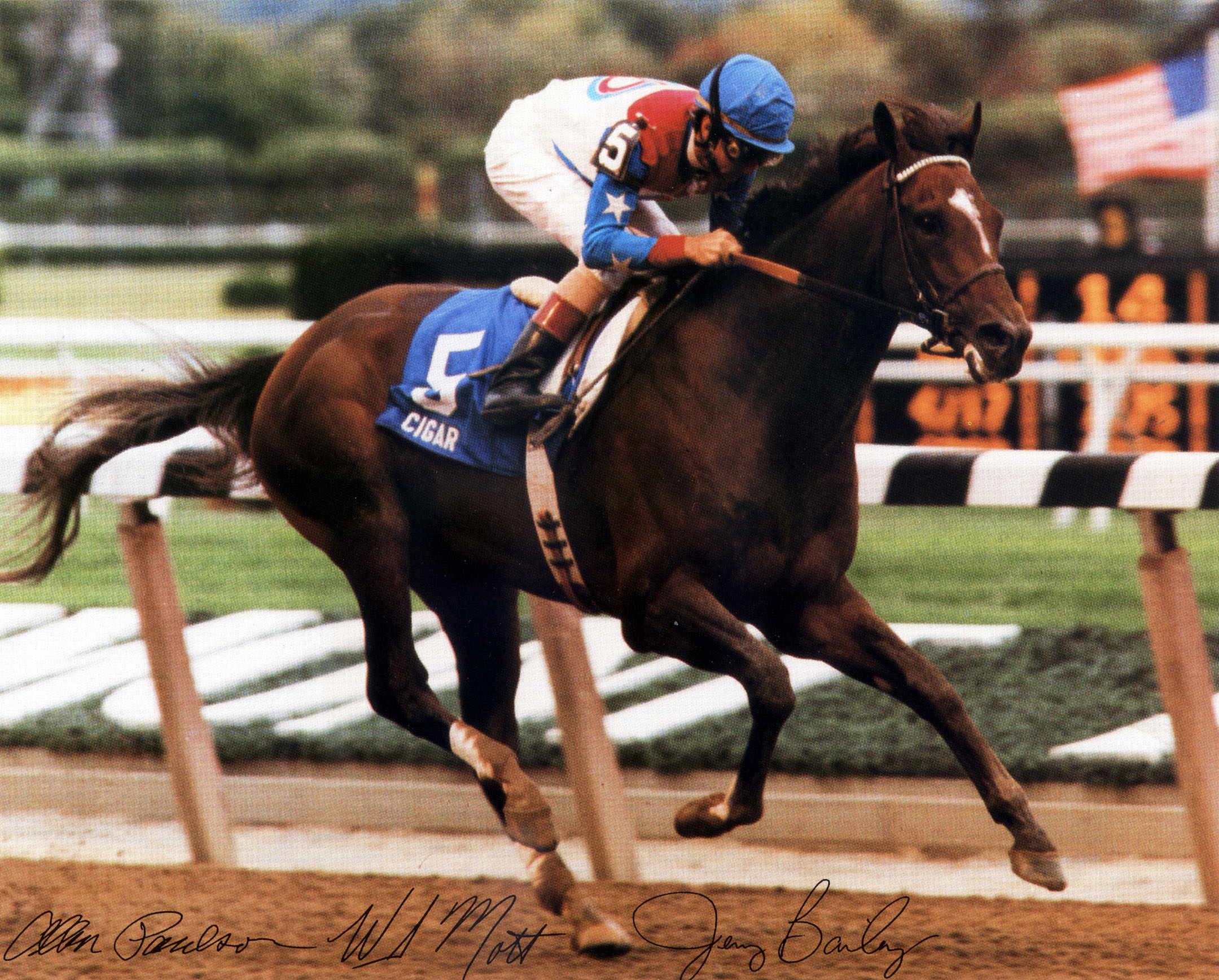 Cigar (Jerry Bailey up) wins the 1995 Woodward at Belmont Park (NYRA/Bob & Adam Coglianese /Museum Collection)