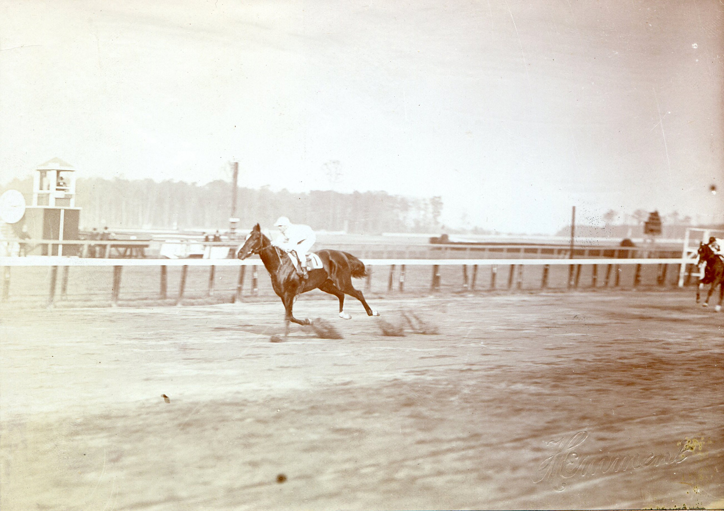 Colin (Walter Miller up) winning the 1907 National Stallion Stakes at Belmont Park (J. C. Hemment/Museum Collection)