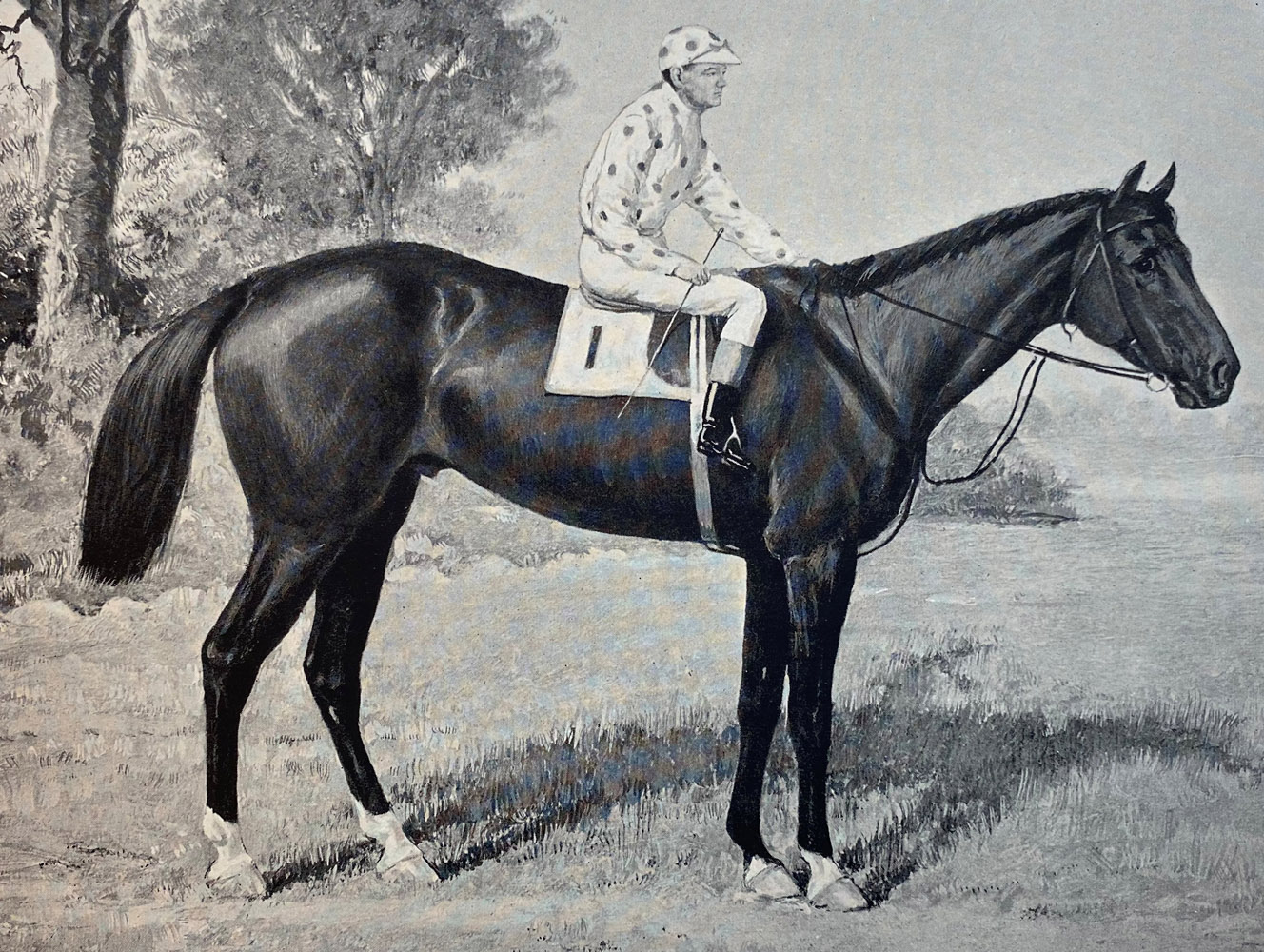 Illustration of Commando from "Racing in America, 1866-1921" (Museum Collection)