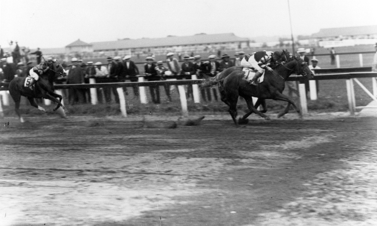 Crusader (Earl Sande up) winning the 1926 Dwyer Stakes at Aqueduct (Keeneland Library Cook Collection/Museum Collection)