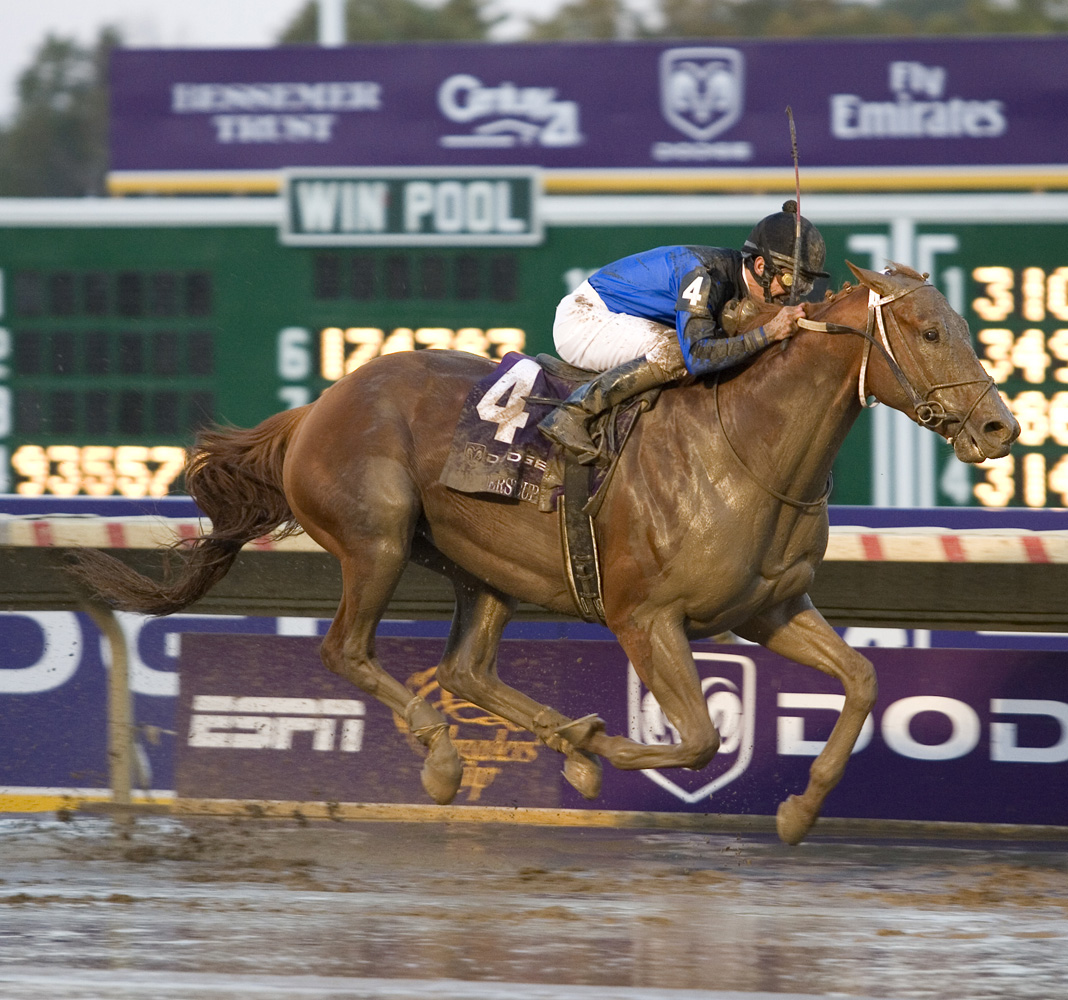 Curlin wins the 2007 Breeders' Cup Classic at Monmouth Park (Barbara D. Livingston/Museum Collection)