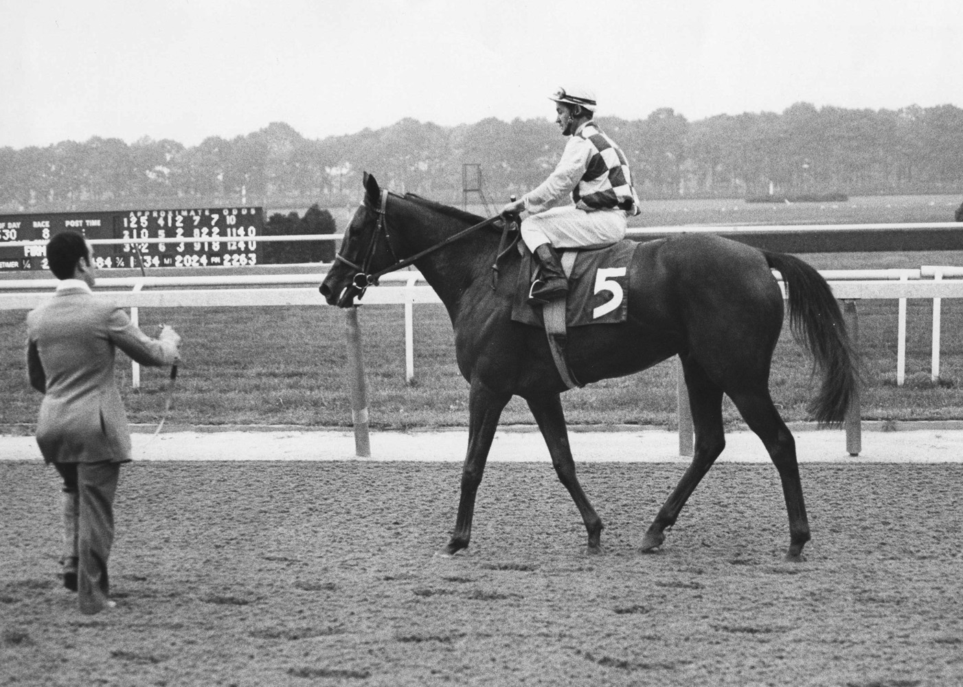 Dahlia (Ron Turcotte up) after winning the 1974 Man o' War Stakes at Belmont Park (Ray Woolfe, Jr./Museum Collection)